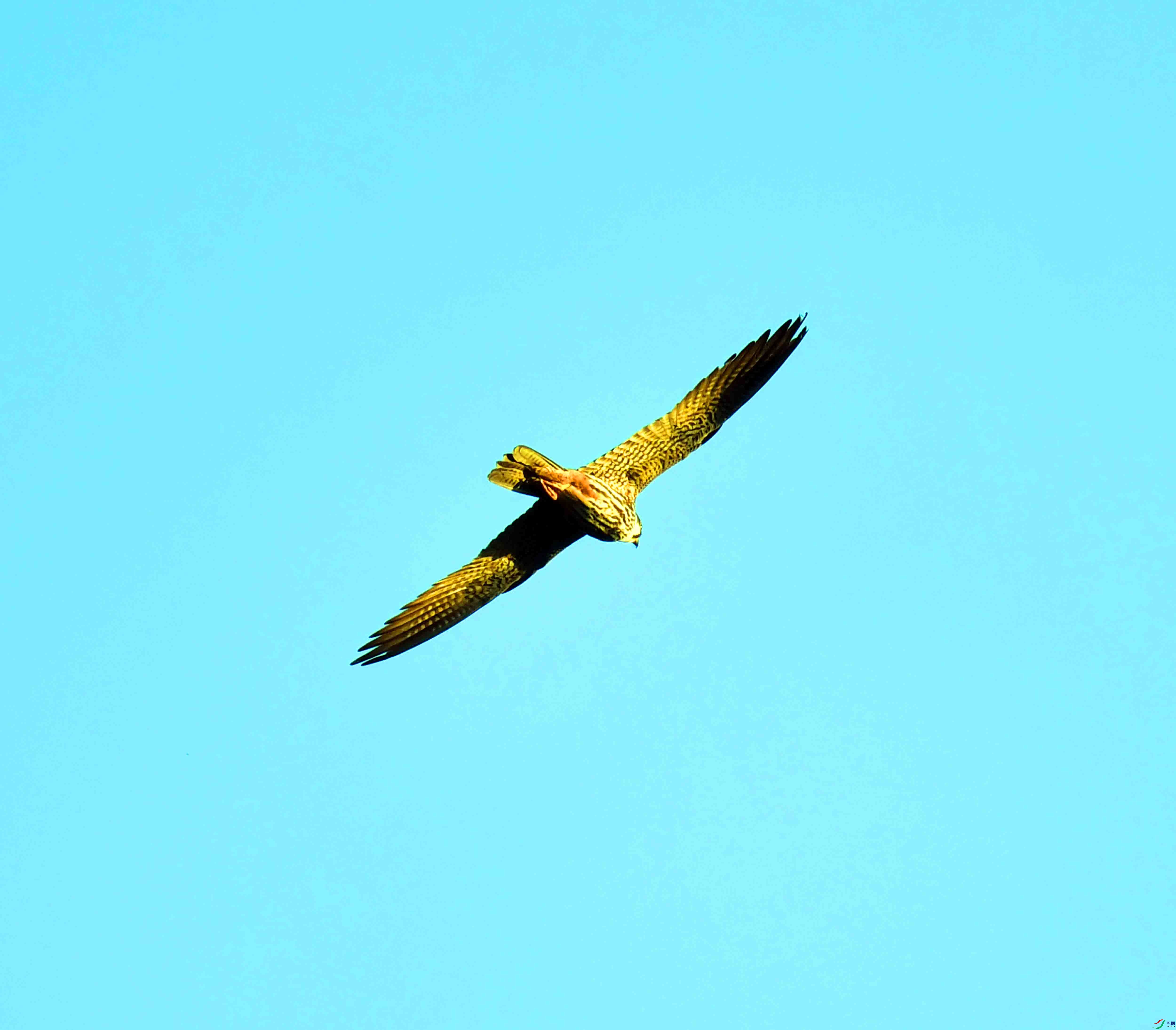DSC_3440.JPG