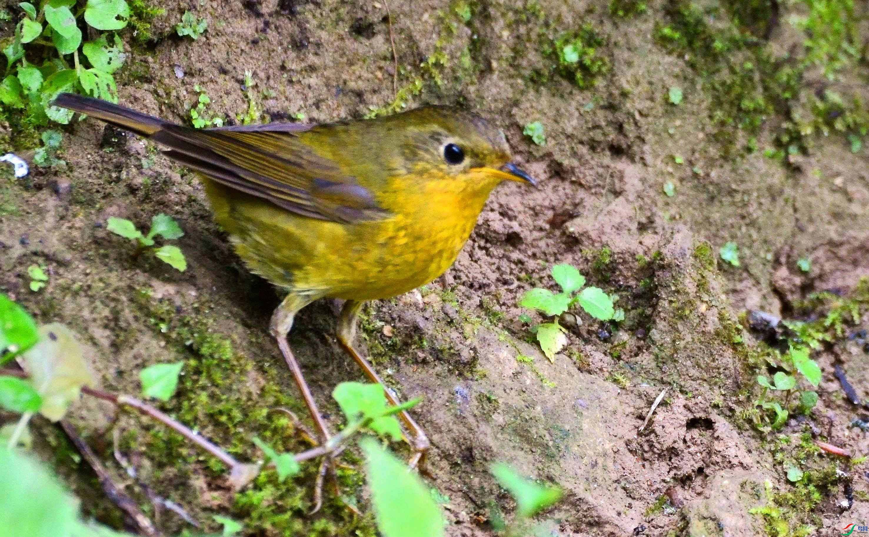 DSC_7251.JPG