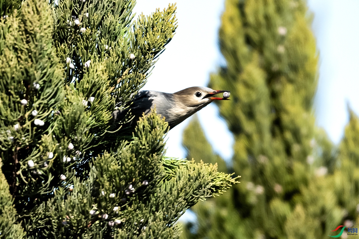 DSC_0993-.jpg