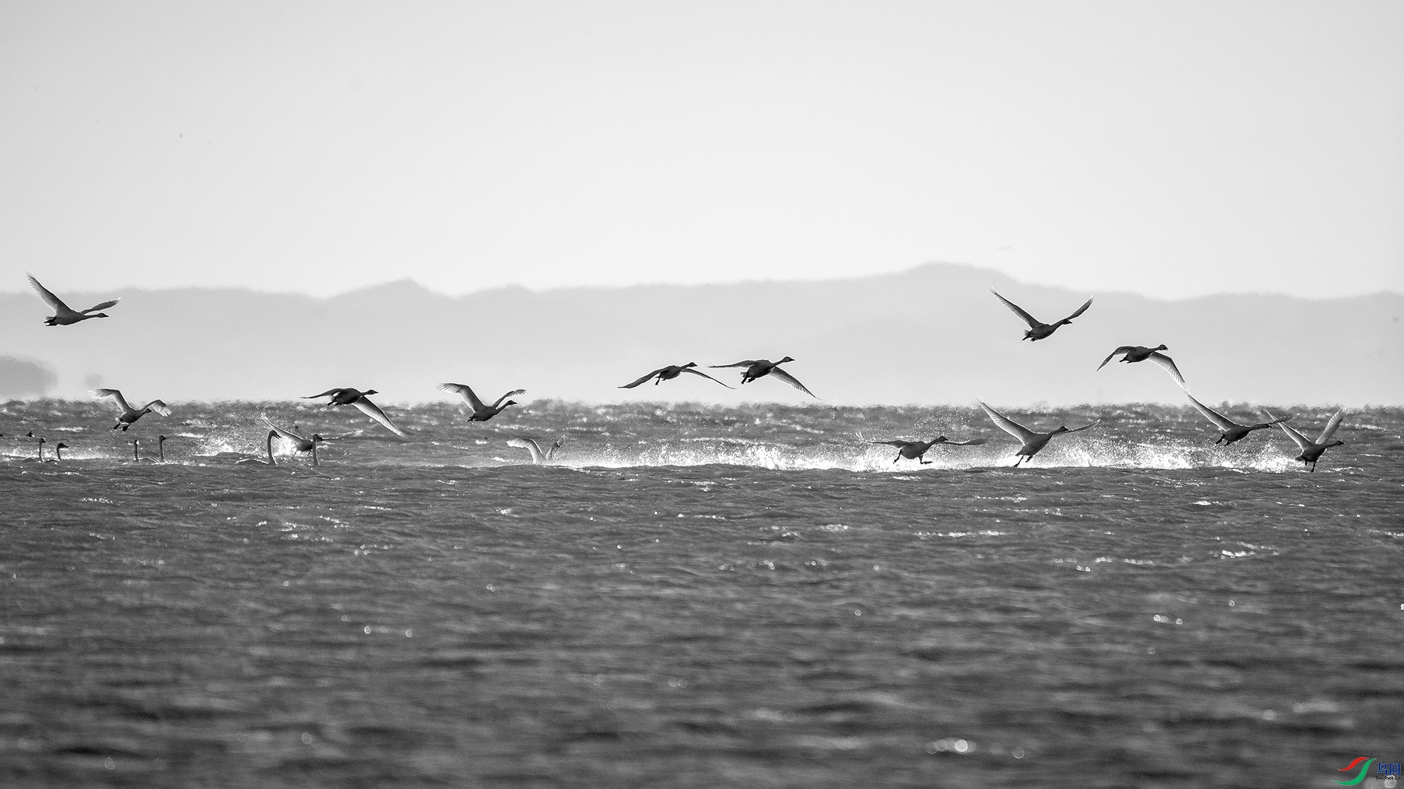 DSC_01940.jpg