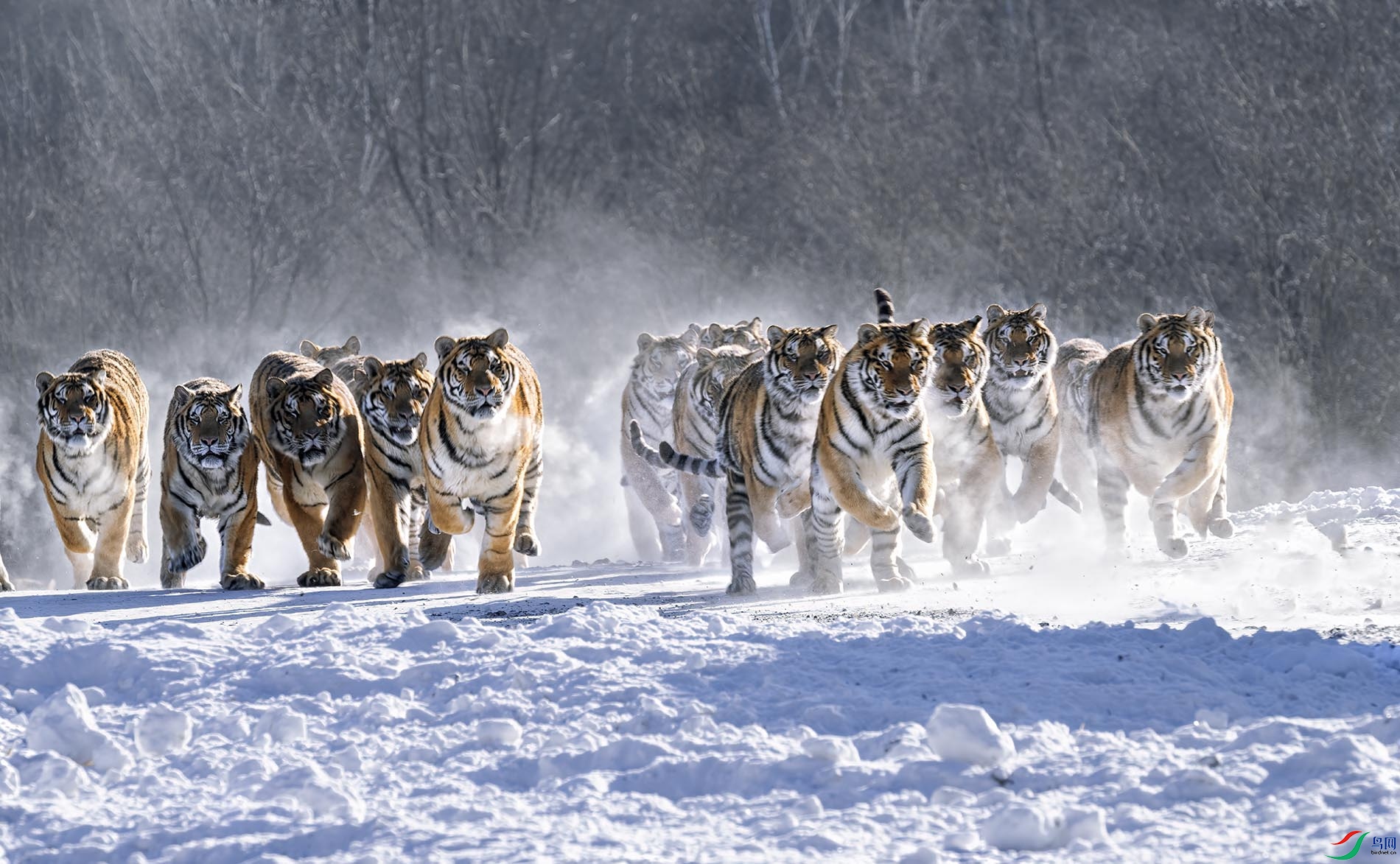 Ⱥ������