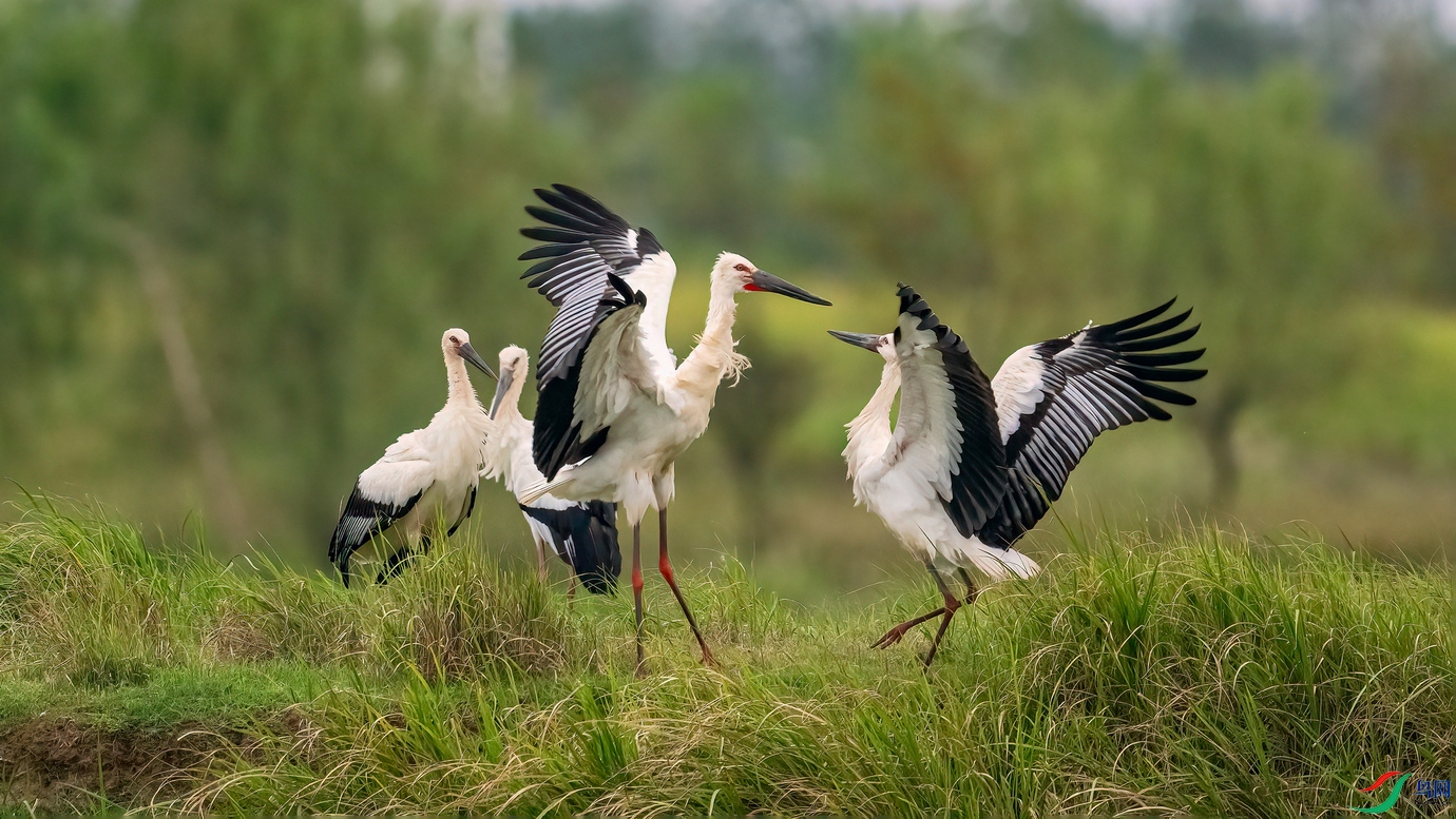 DSC_4552 ����010.jpg