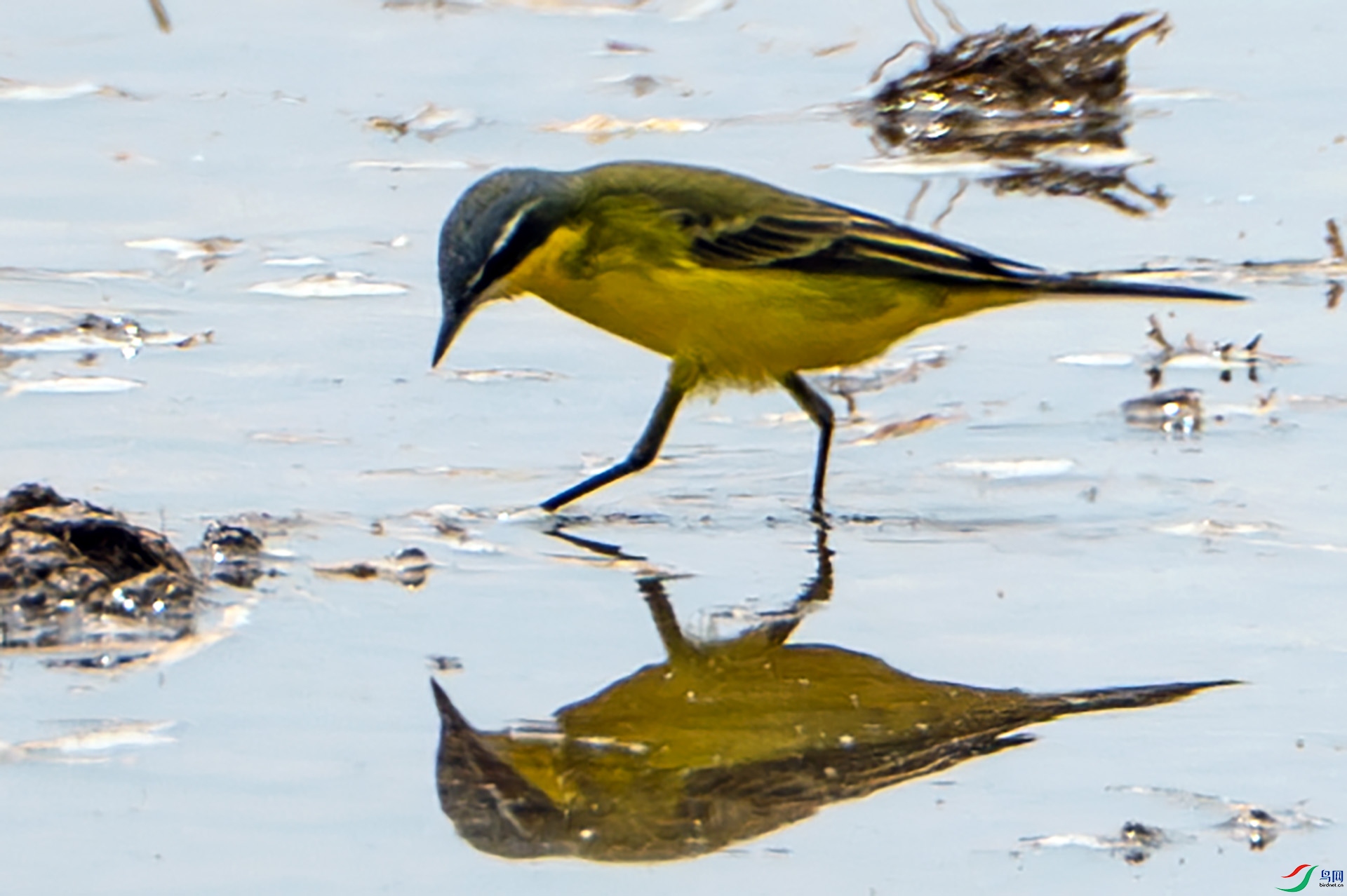 DSC03866-����ǿ-NR ����.jpg