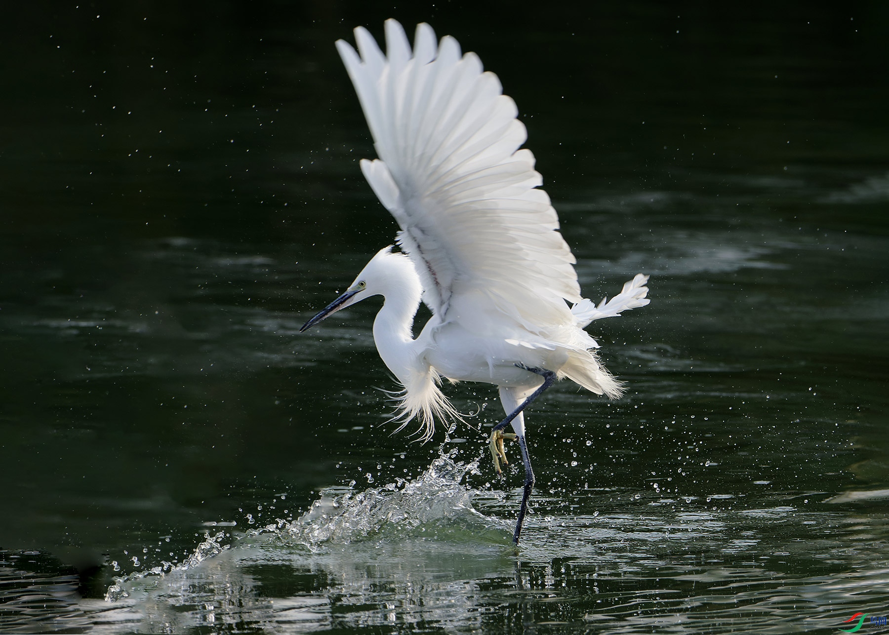 DSC_7215.jpg