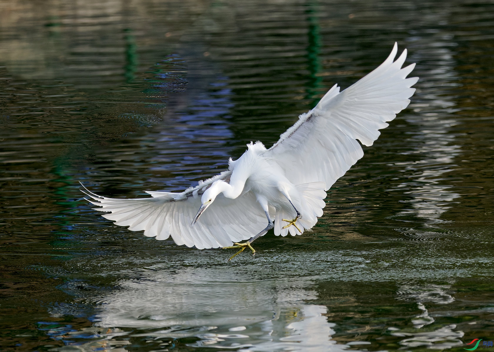 DSC_7331.jpg