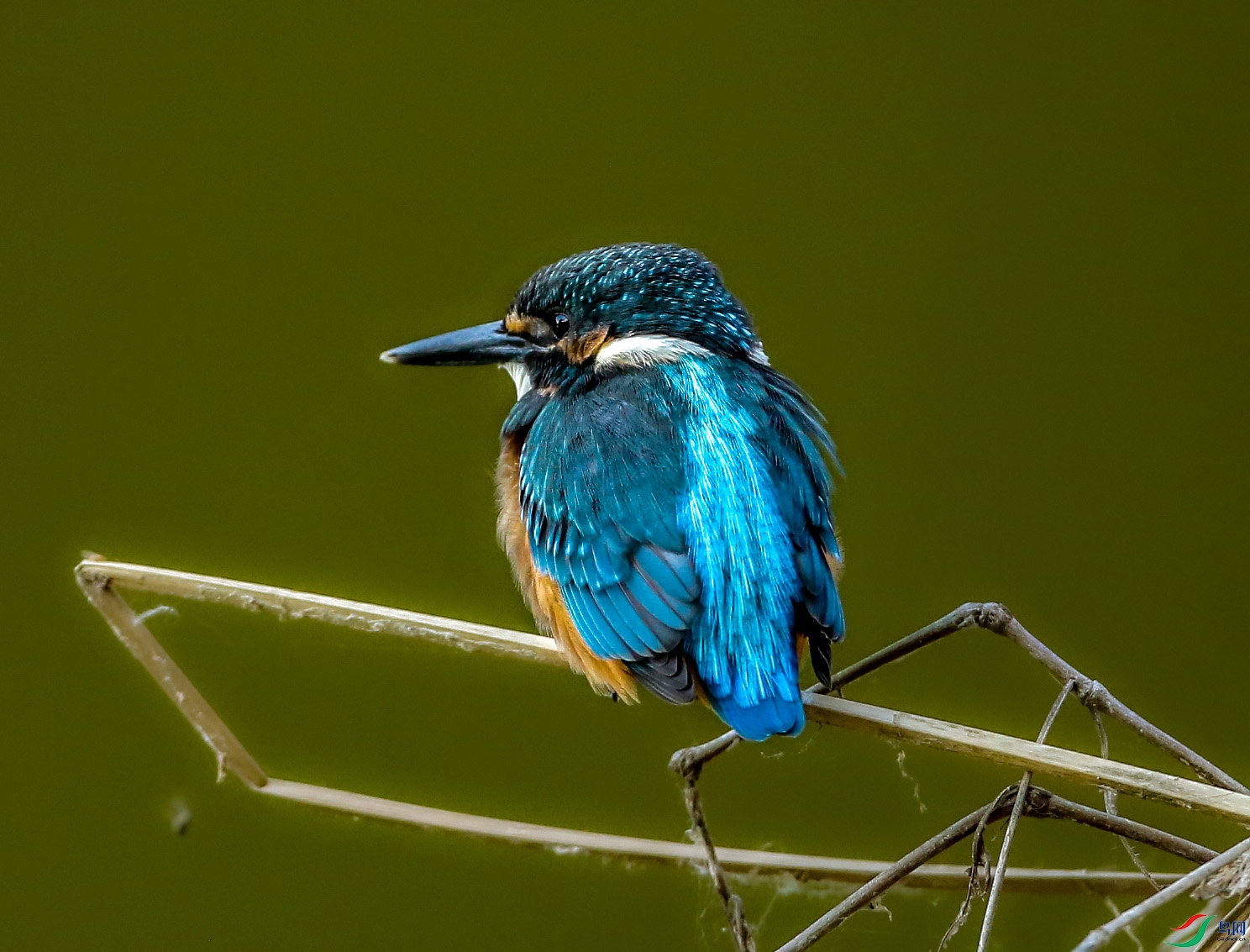 673A7765.JPG