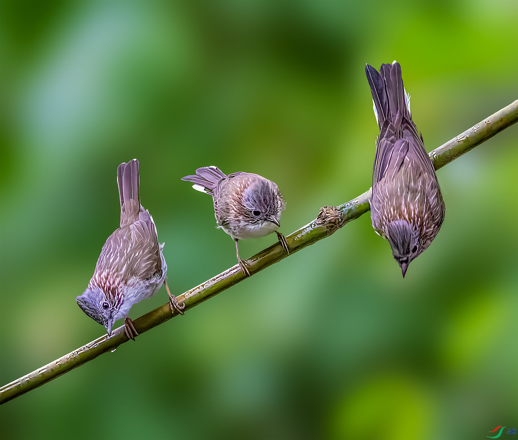 ׼������