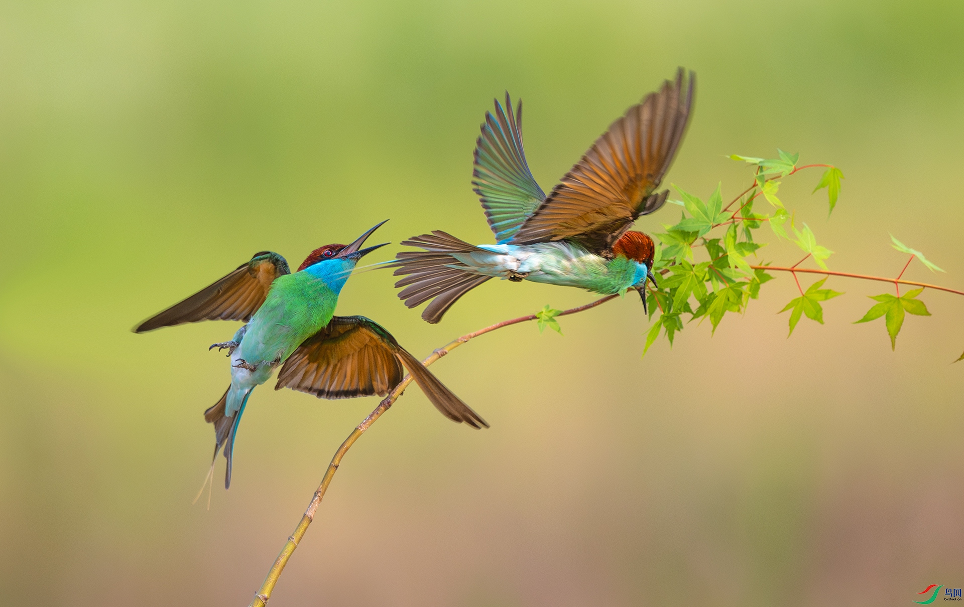 ����DSC_9663.jpg