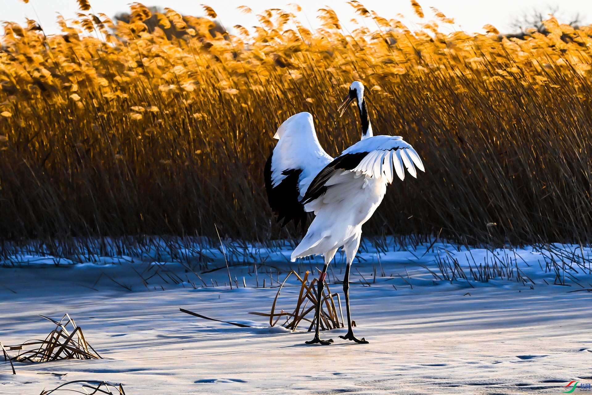DSC_8851.JPG