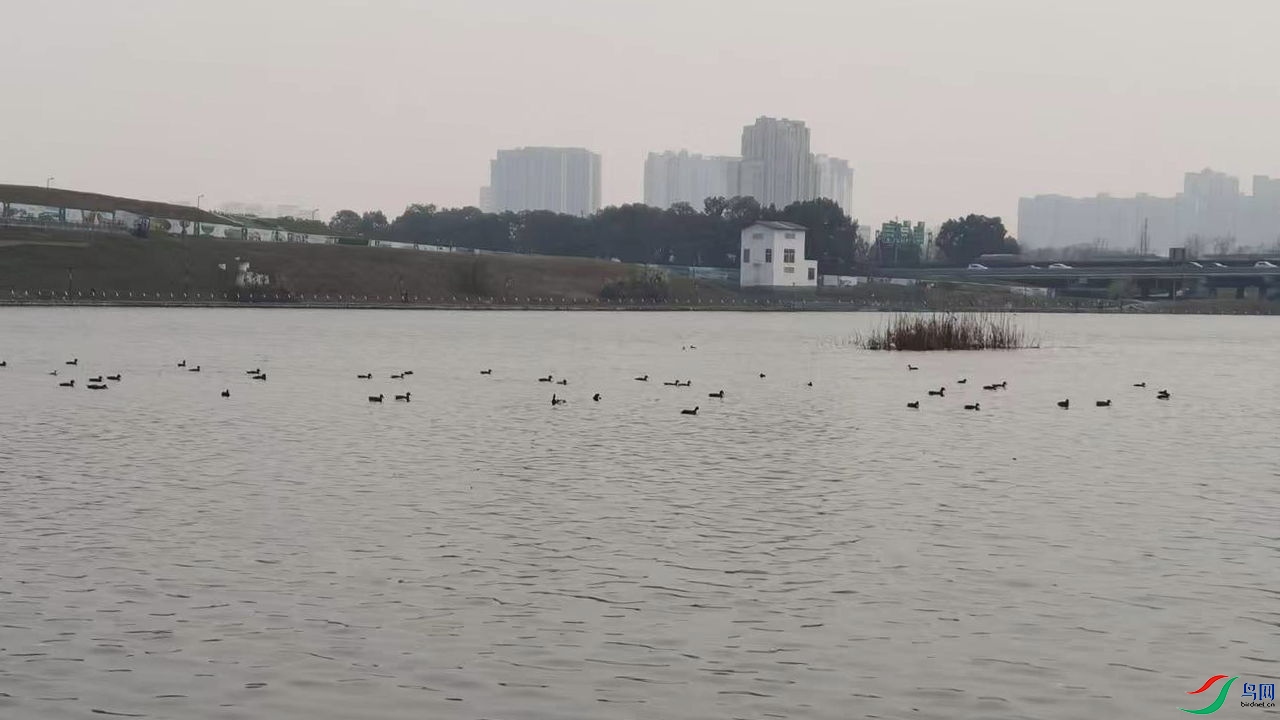 �Ϲ�̲�����ӽ�