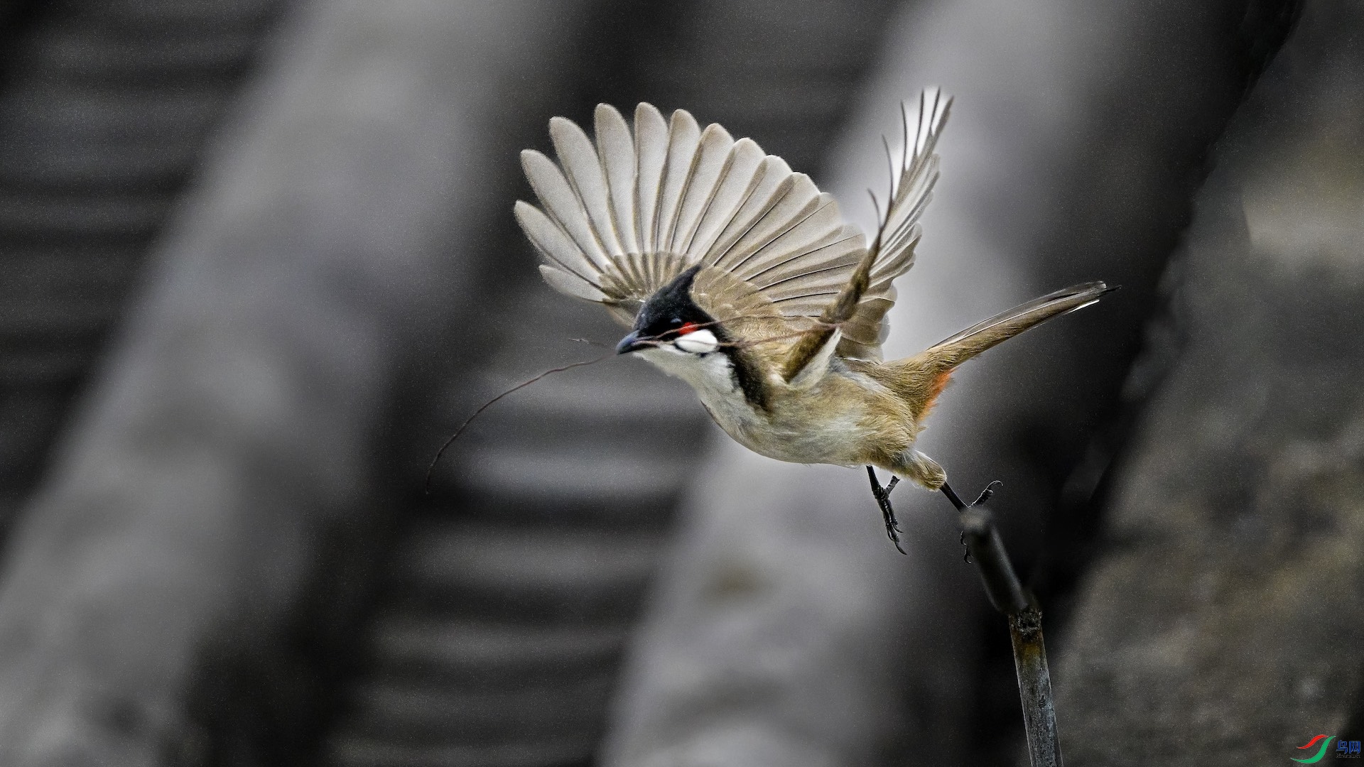 1_XXL1340 ����.jpeg