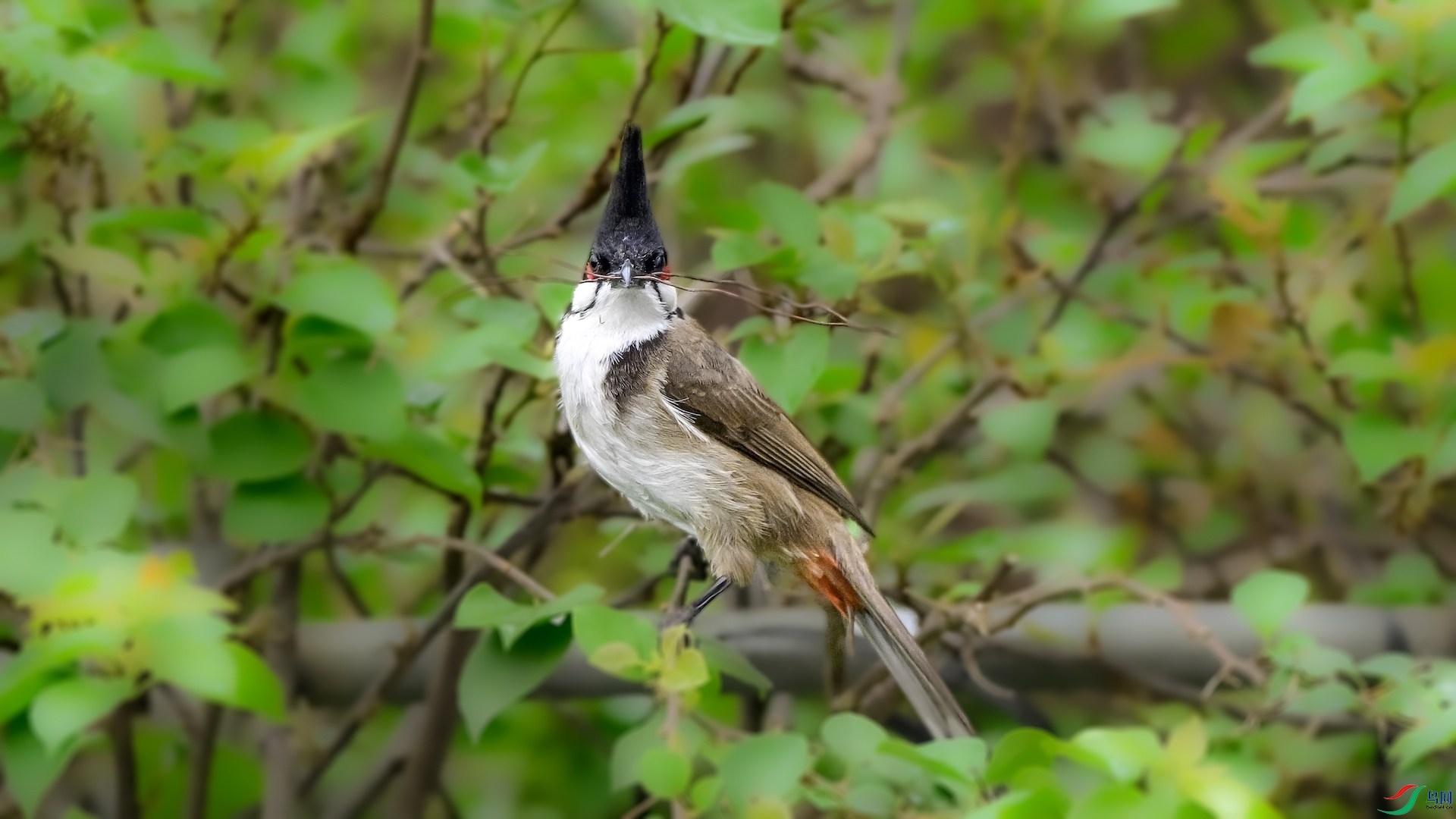 1_XXL1363 ����.jpeg