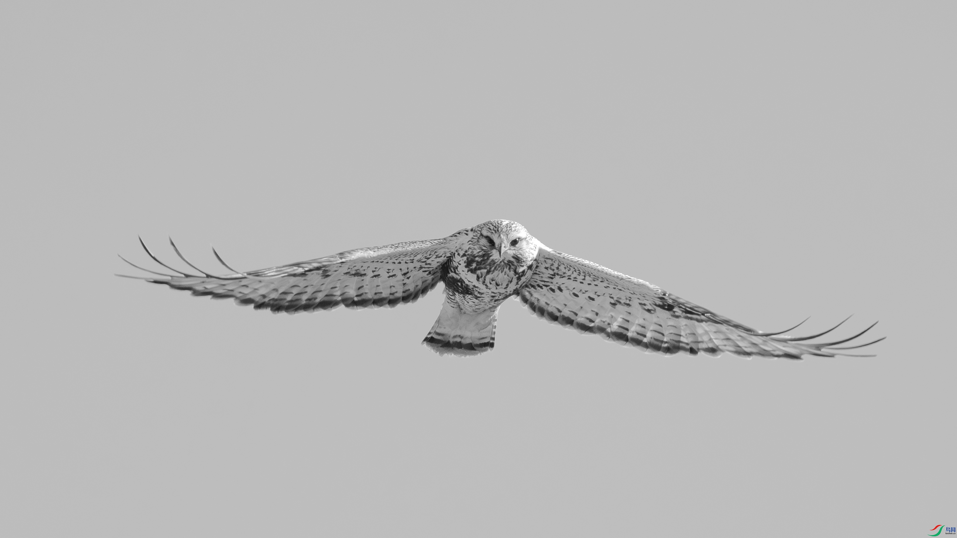 _DSC7431 ����.jpg