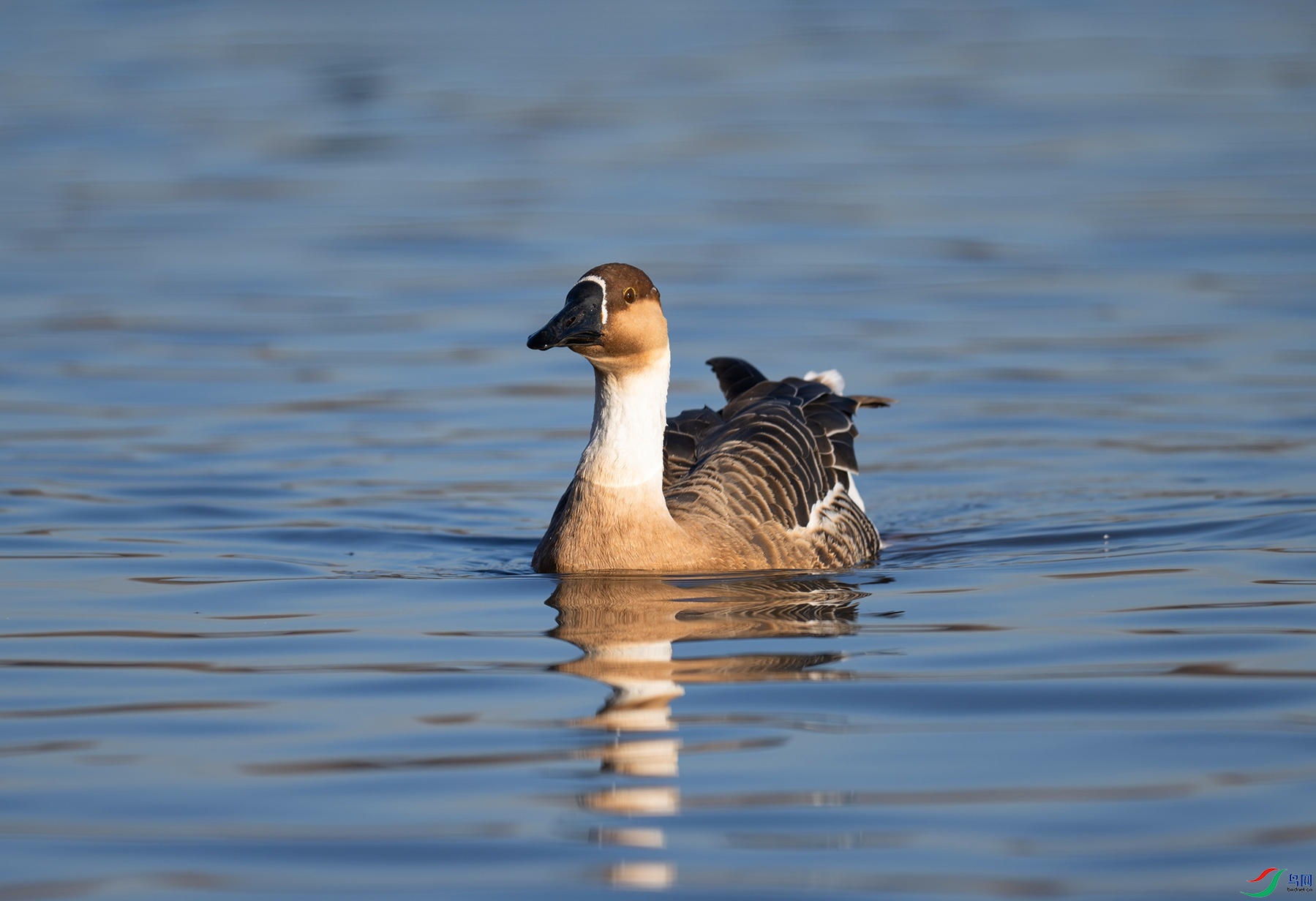 DSC_4595f.jpg