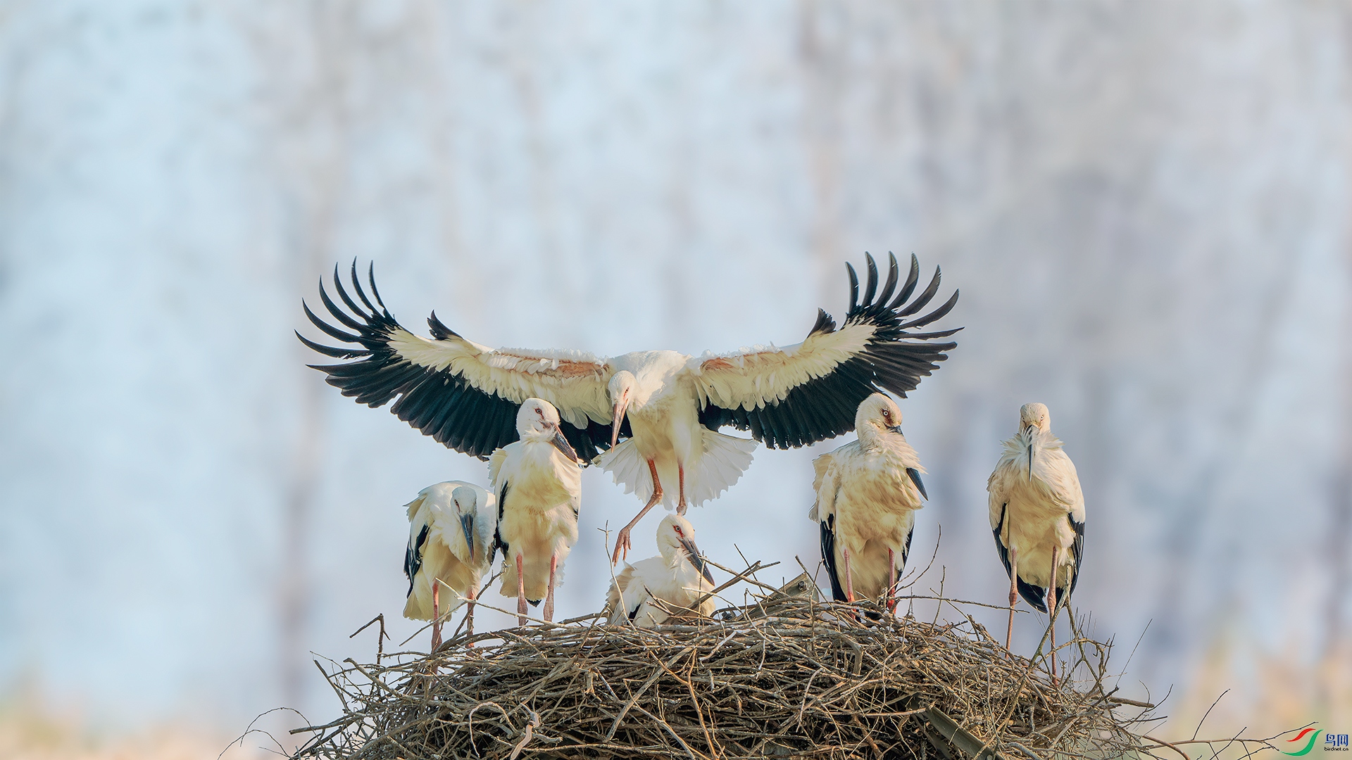 _DSC4087-����ǿ-NR ����С.jpg