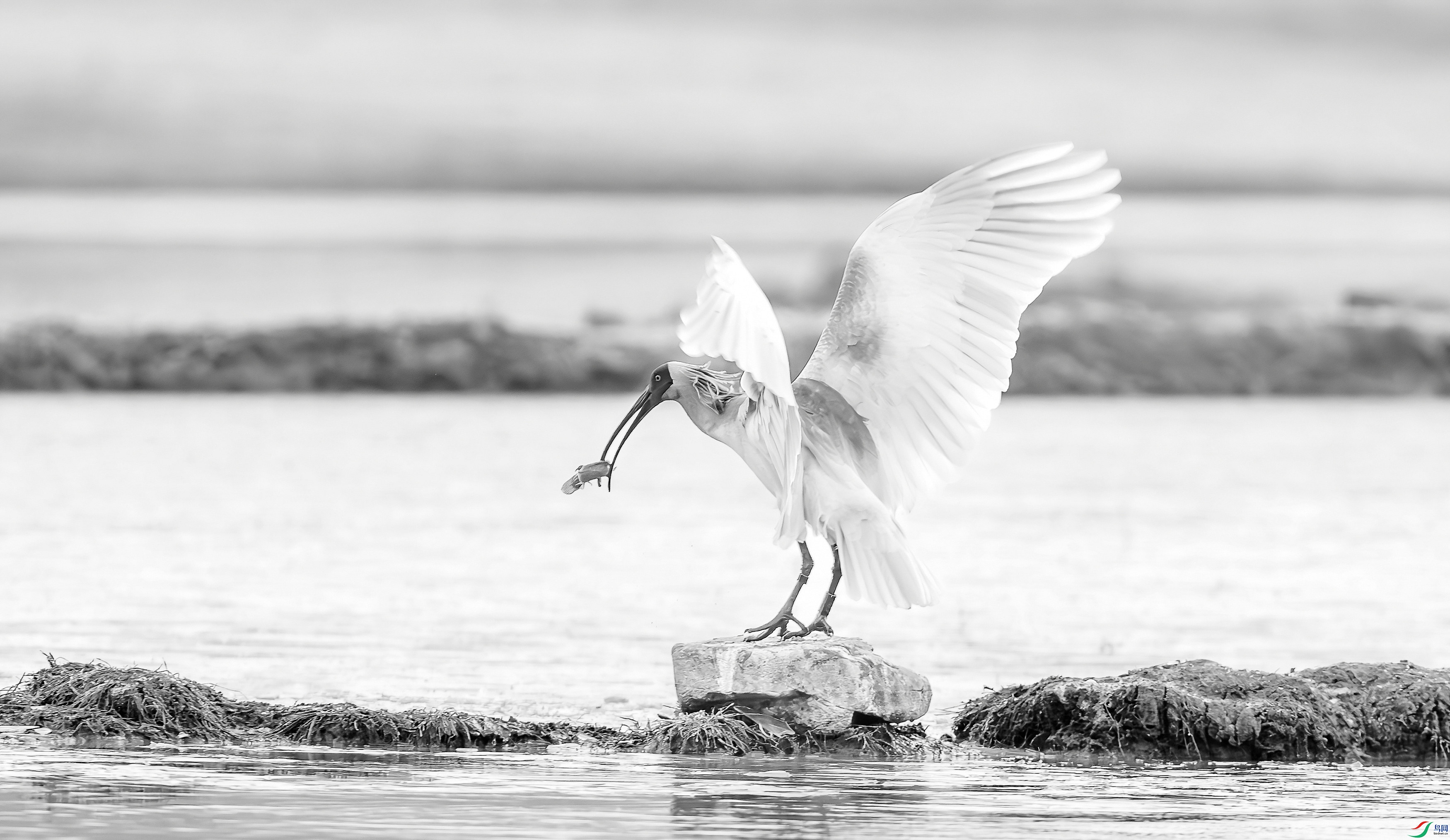 412A7865=R-1_����=00.jpg