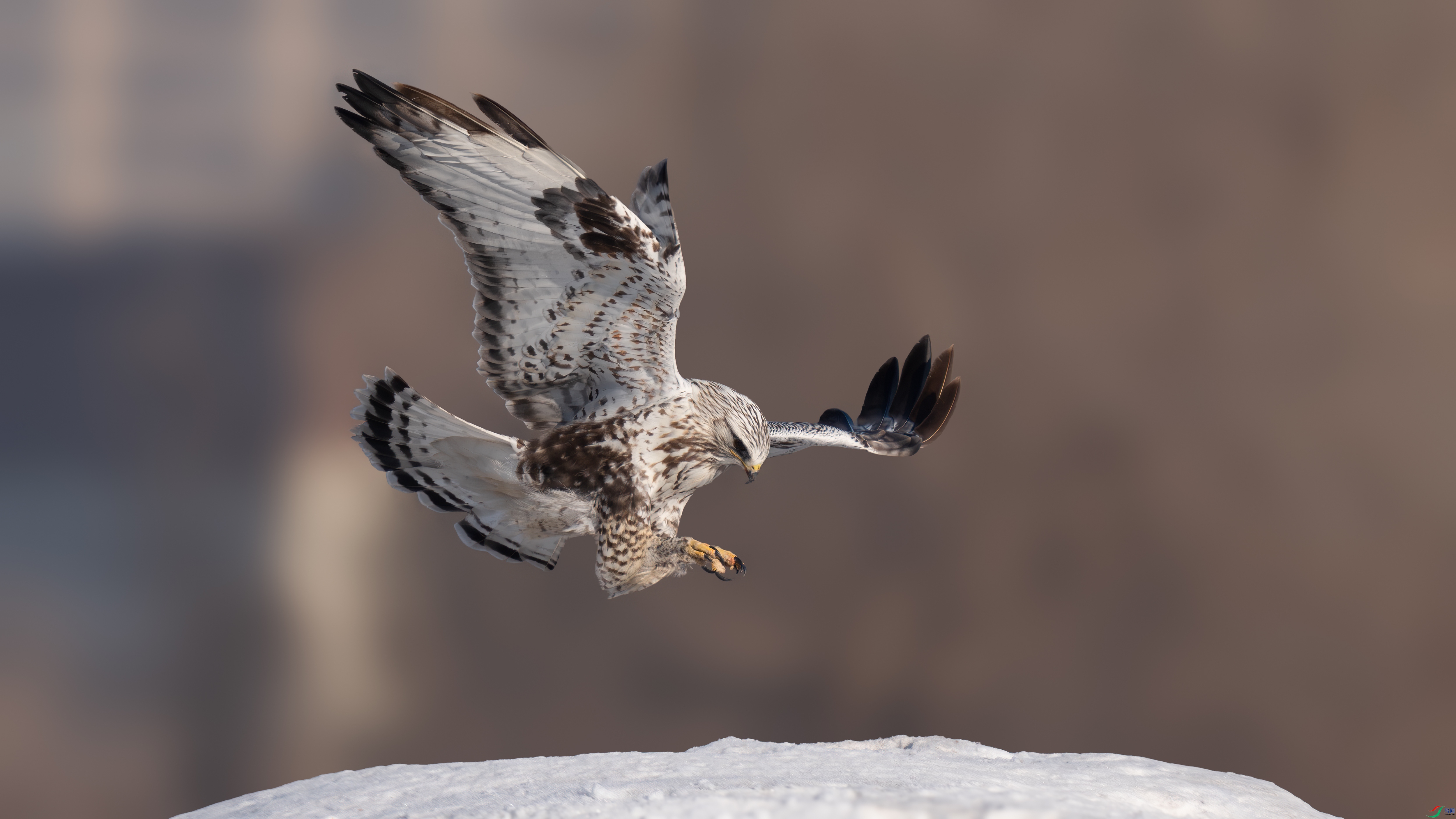 _DSC7588 ����.jpg