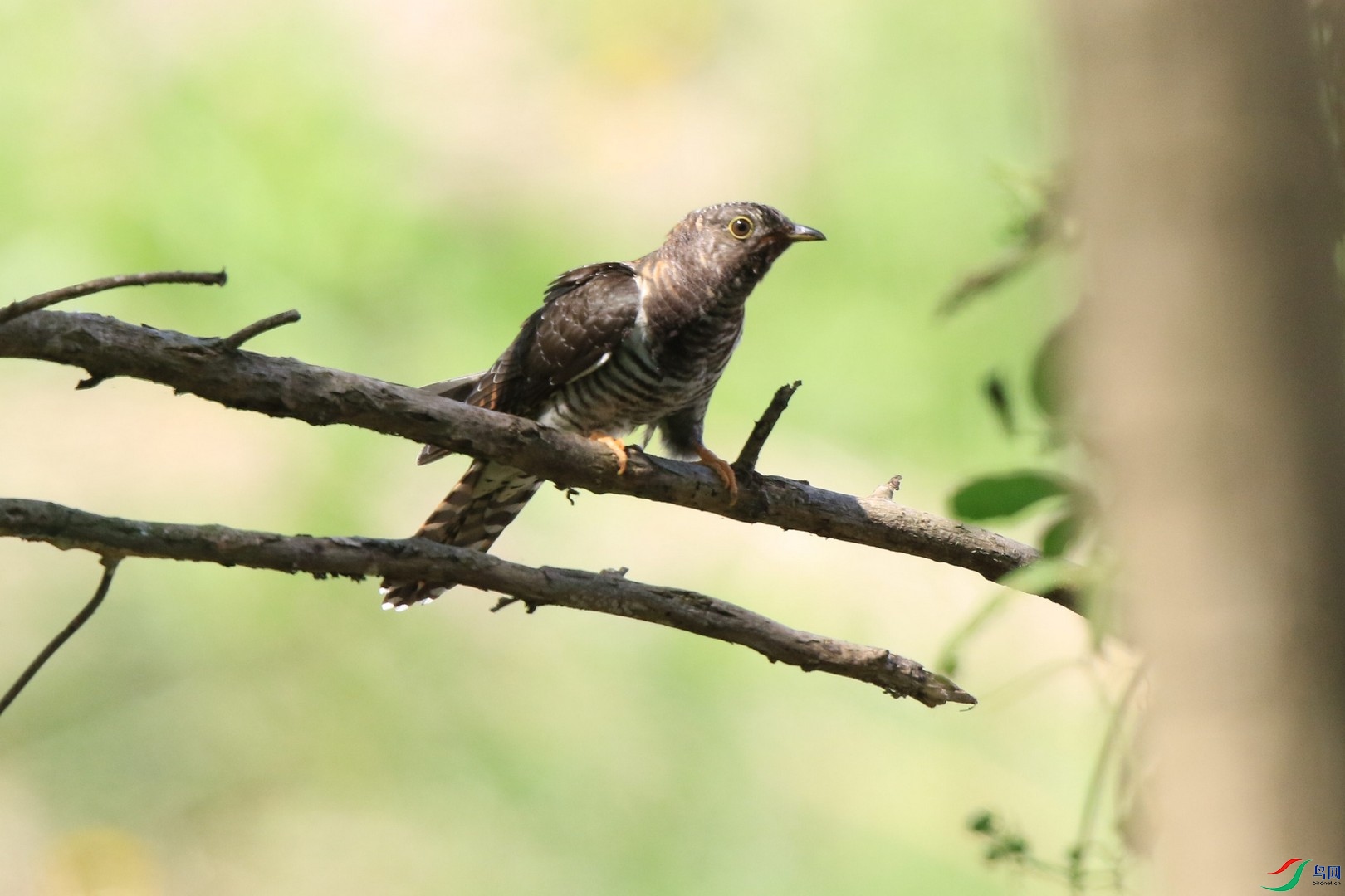 ʲô�ž飿 0F4A1167.jpg