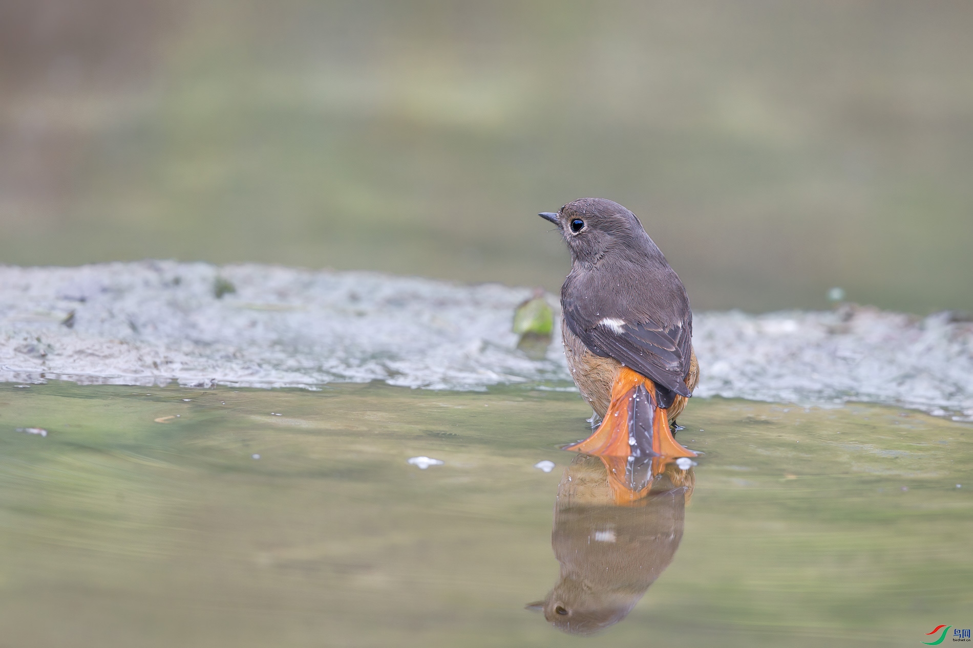 AQ4P0451-1.jpg