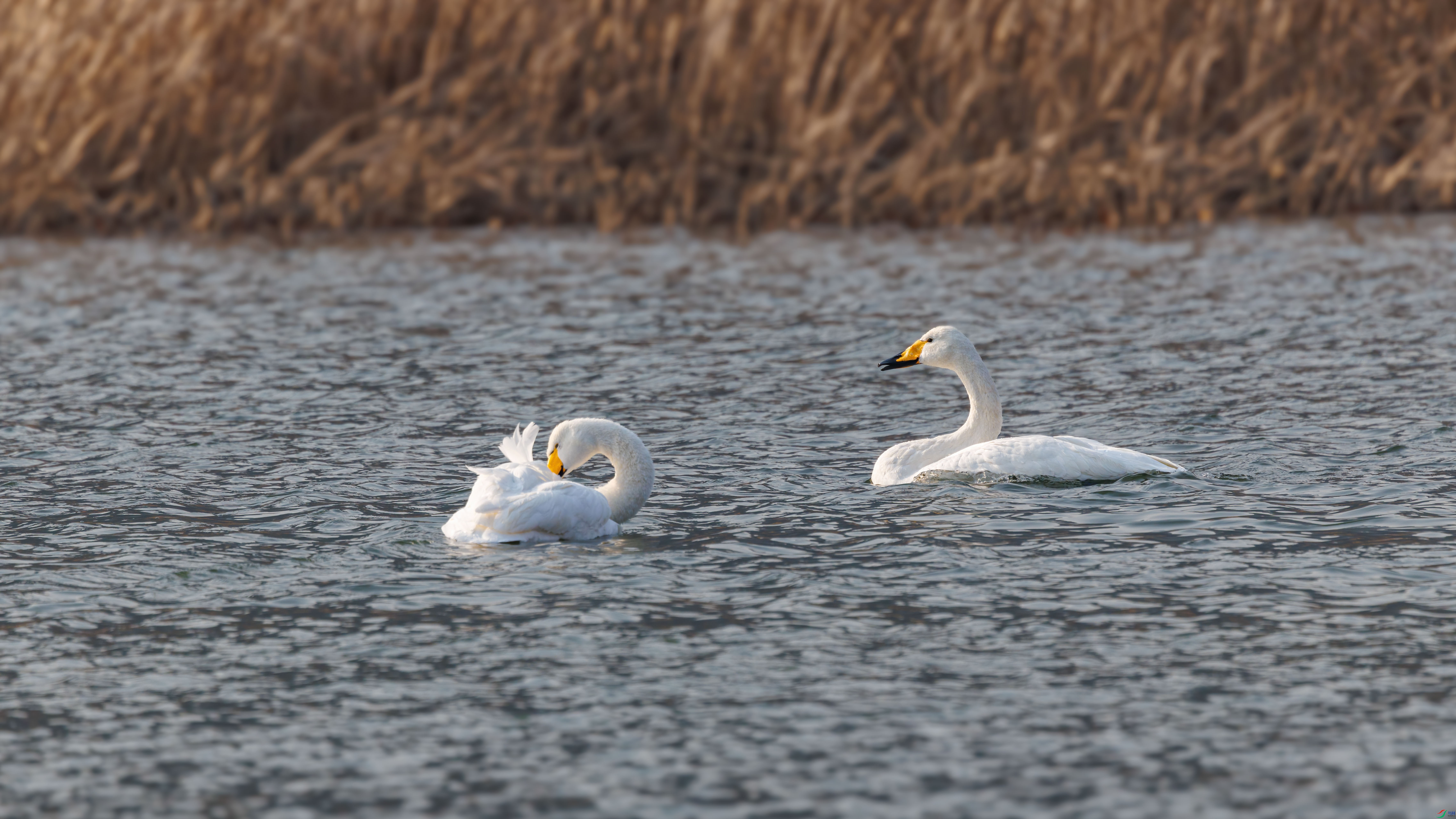 2I7A4171 ����.jpg