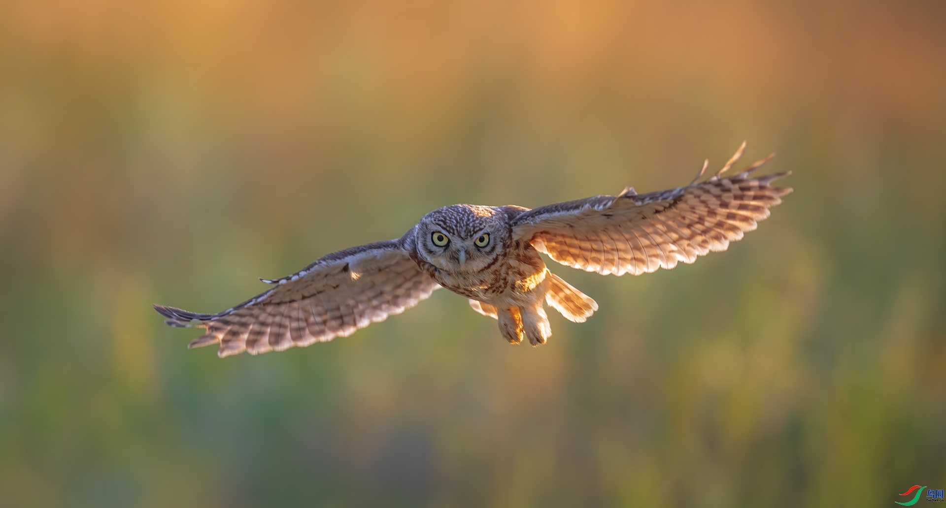 ӭ����� ���� �������� ��һ.jpg