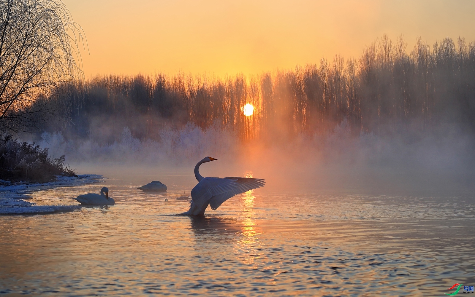 ӭ�ӳ���  ���� ��Ұ �ܶ�.jpg