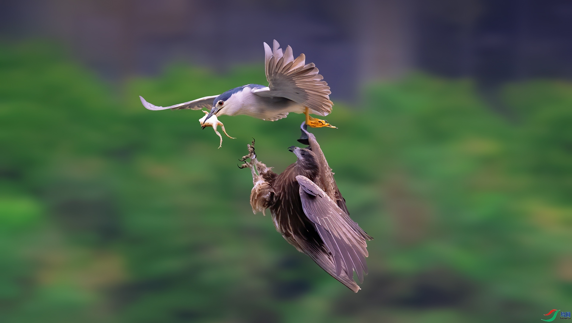 ����  ���� �ܶ�.jpg