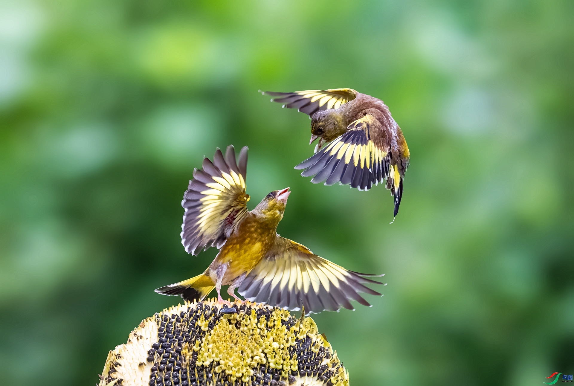 ���ȸ  ���� ������ ����.jpg