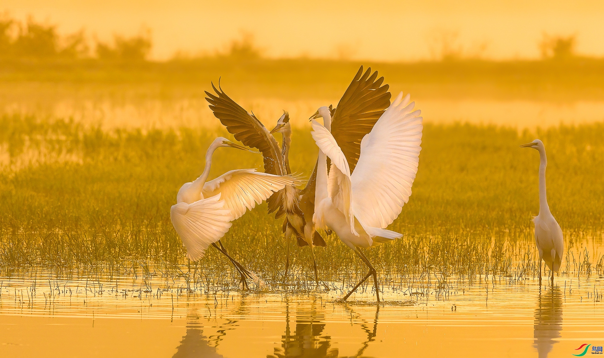 ��������  ���� ���� ����.jpg