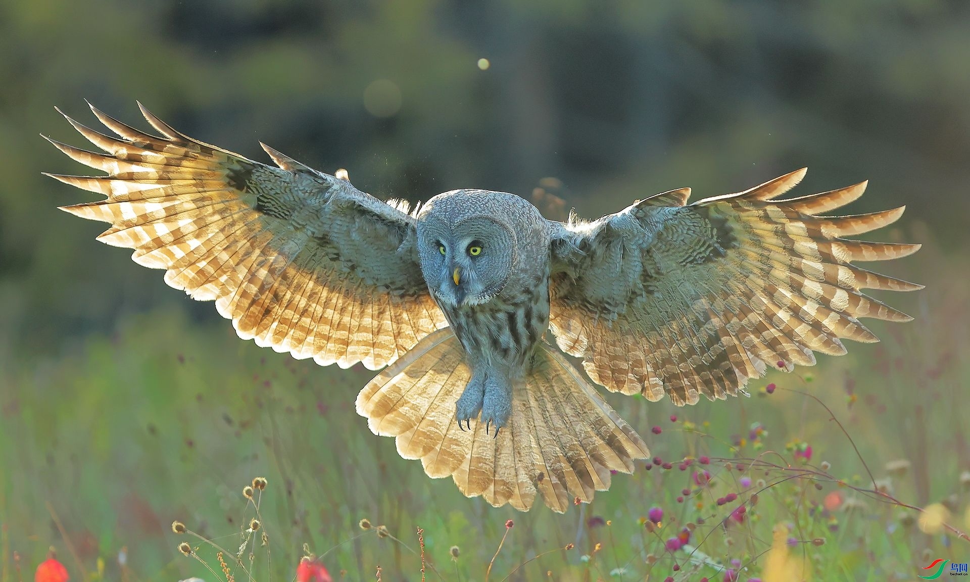 ���չ�� ���� 8341  ����.jpg