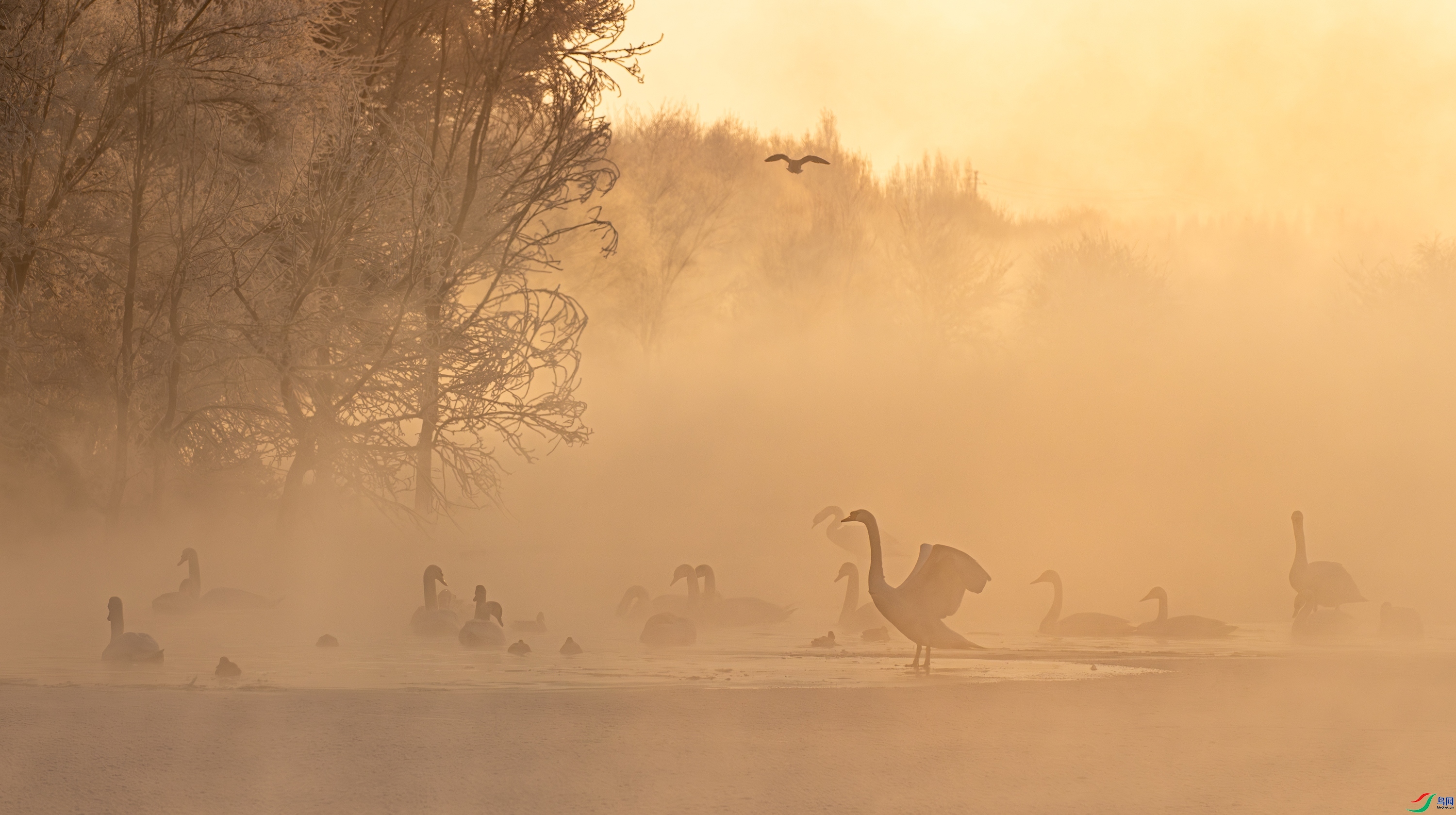 ����ٻӰ ���� ��Ͽ֮�� ����.jpg