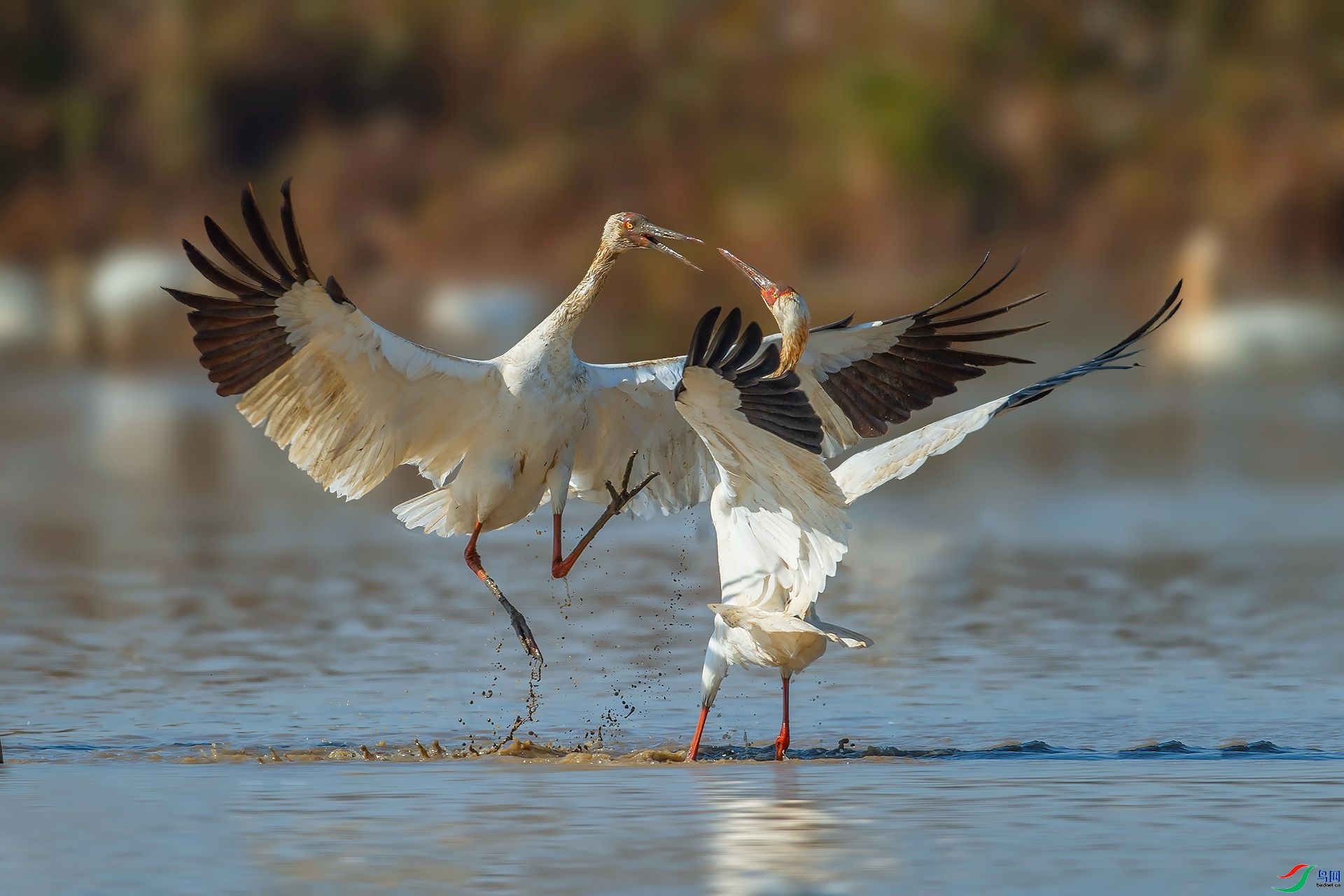 �׺״� ���� ��ѧ�� ����.jpg