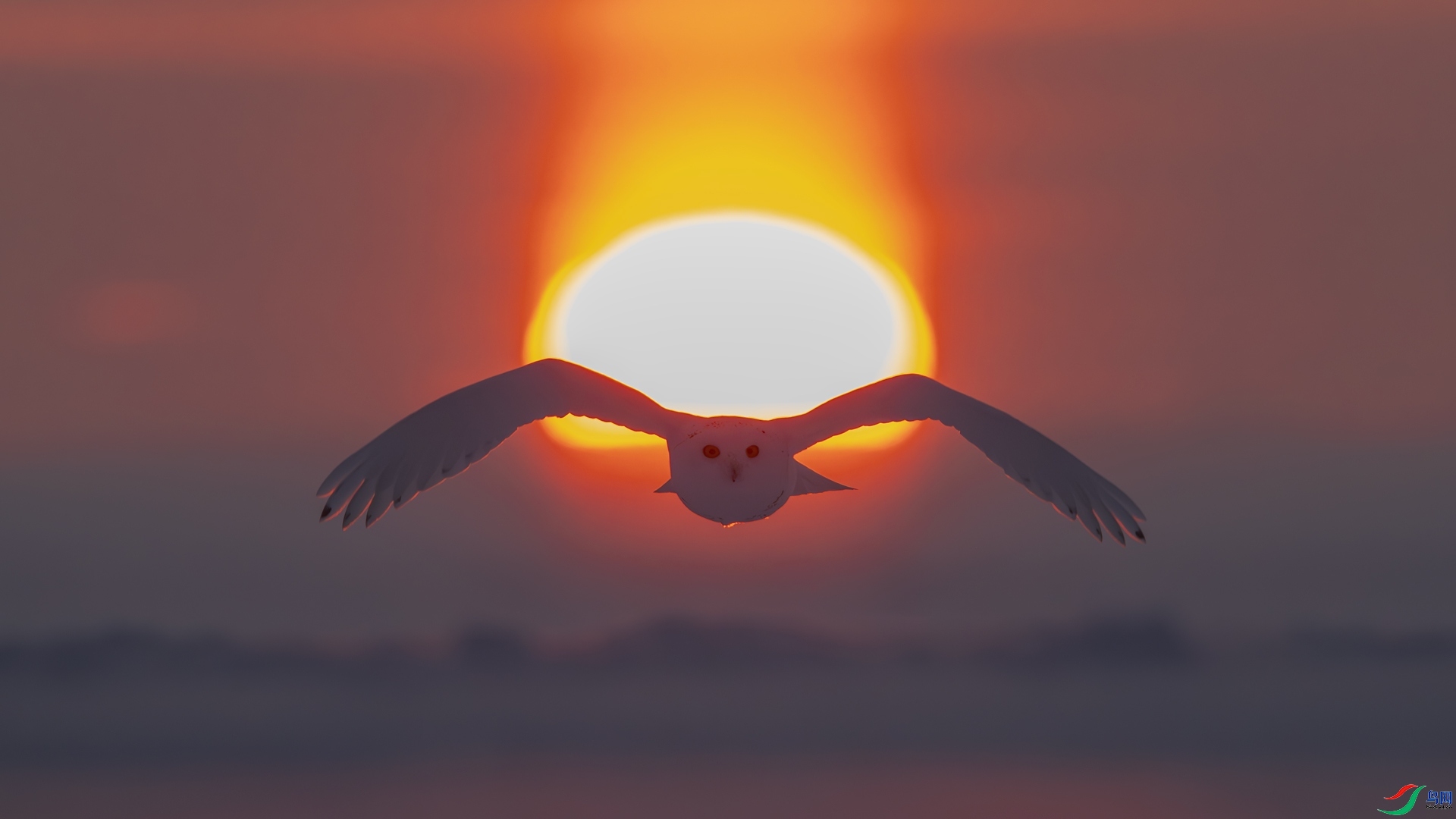 ��������  ���� 0459���� ����.jpg