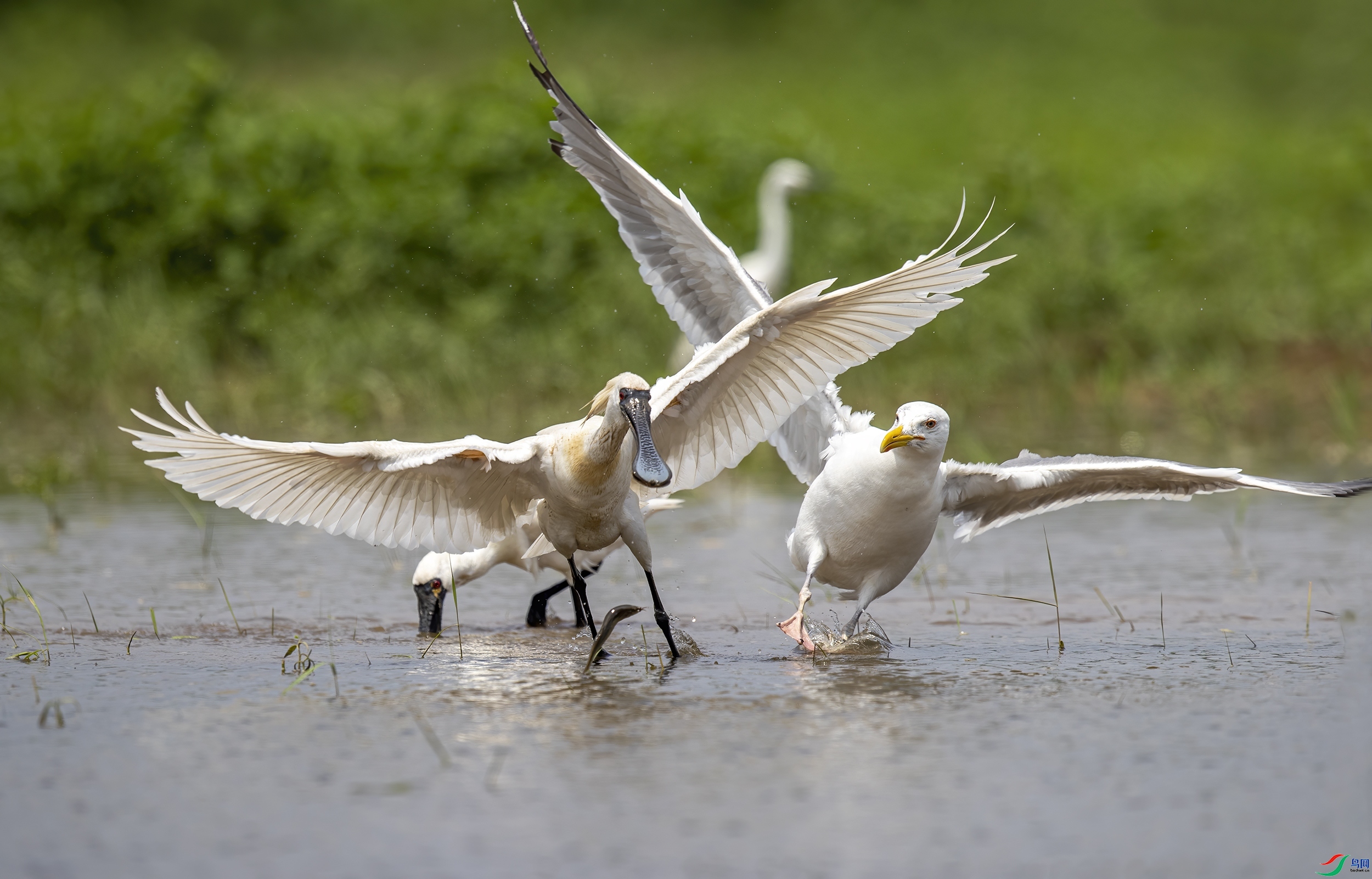 ���� ���� ���� ����.jpg