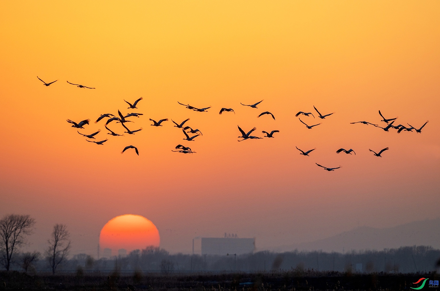 ��ϼ�Һ� ���� ������ǰ ����.jpg