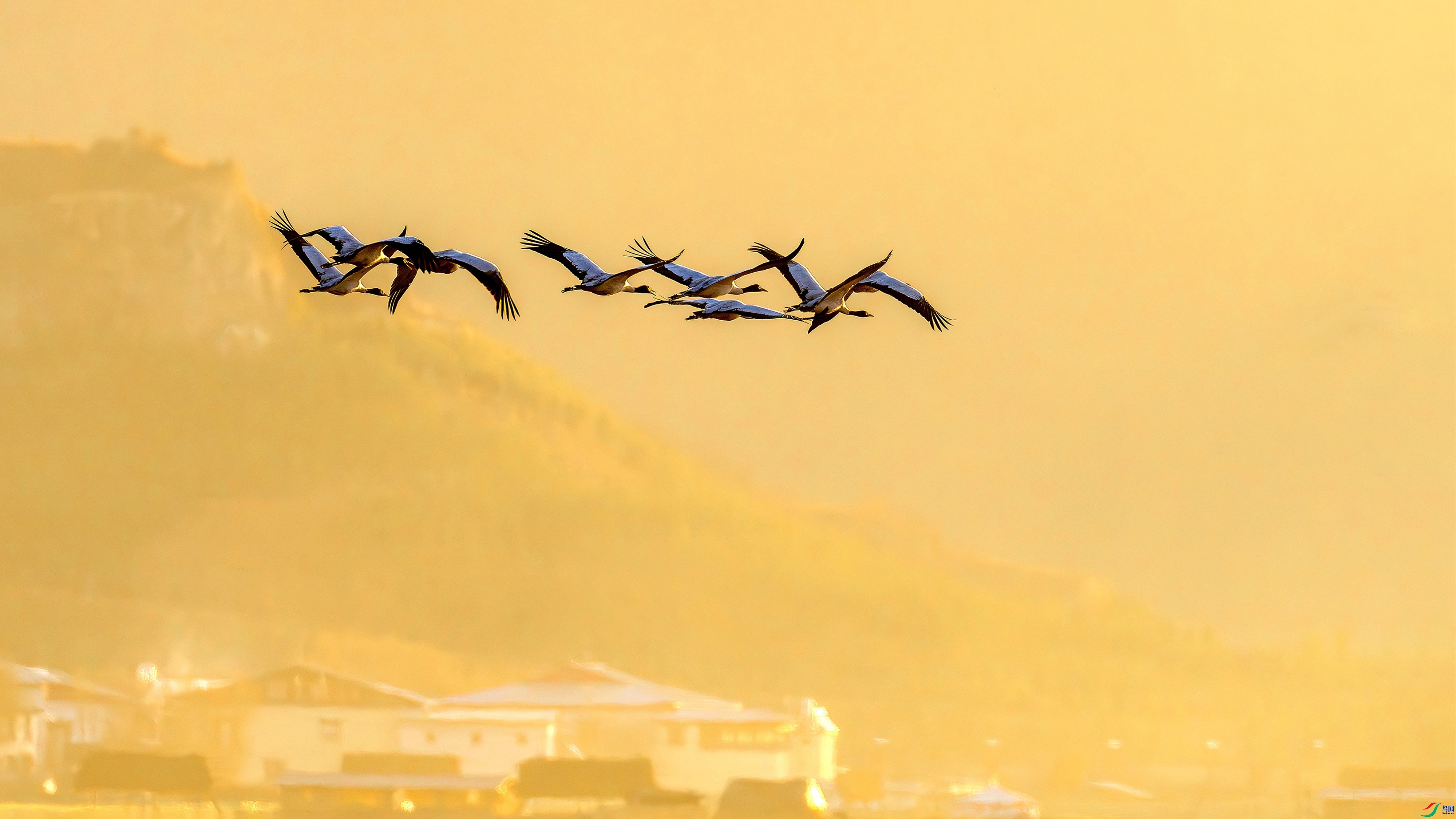 ������������ ���� ������ ����.jpg