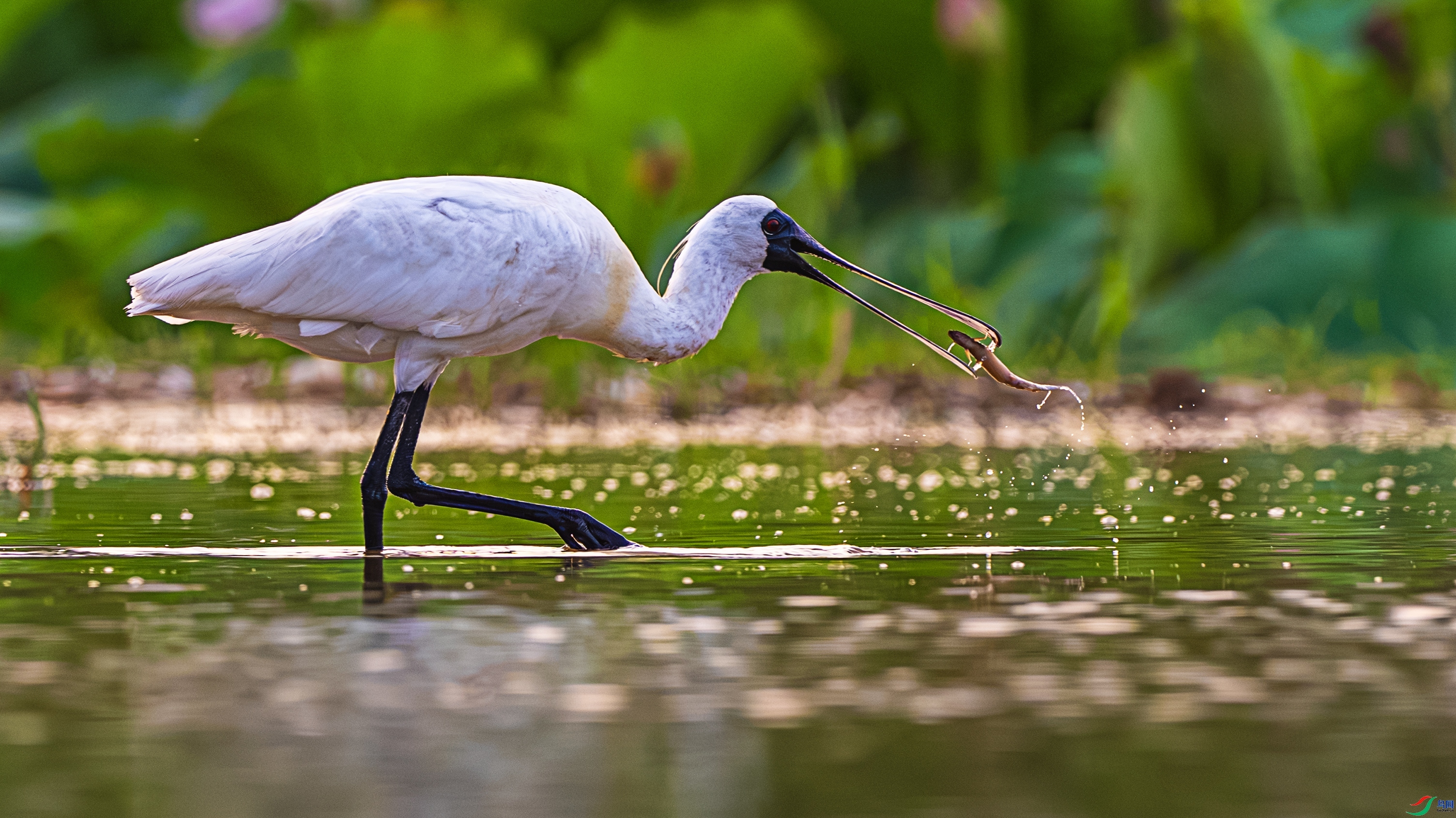 Ϸ�� ���� ������ͷ ����.jpg