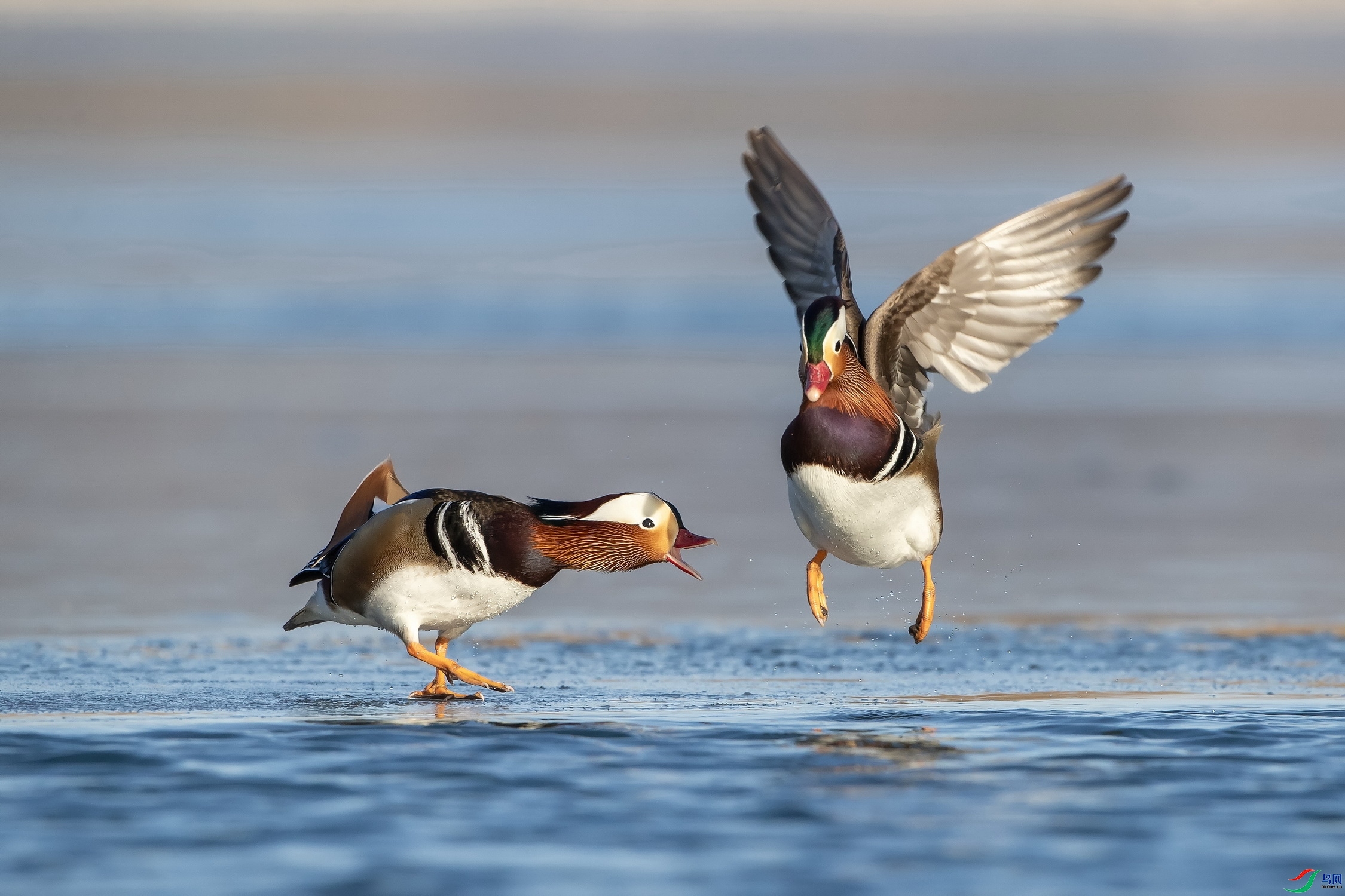 ���� ���� ��ʯ ����.jpg