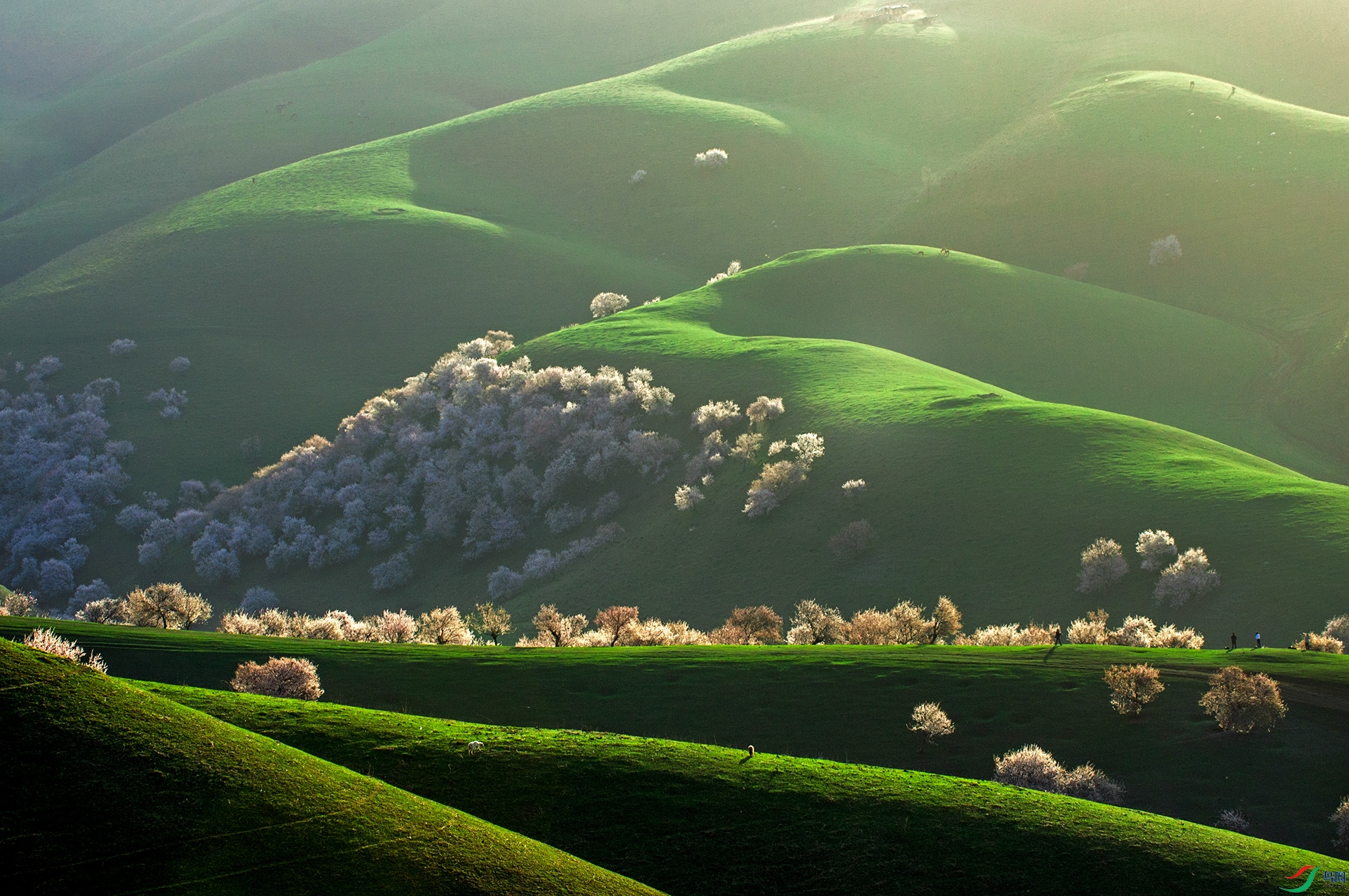 DSC_1608aa ����.jpg