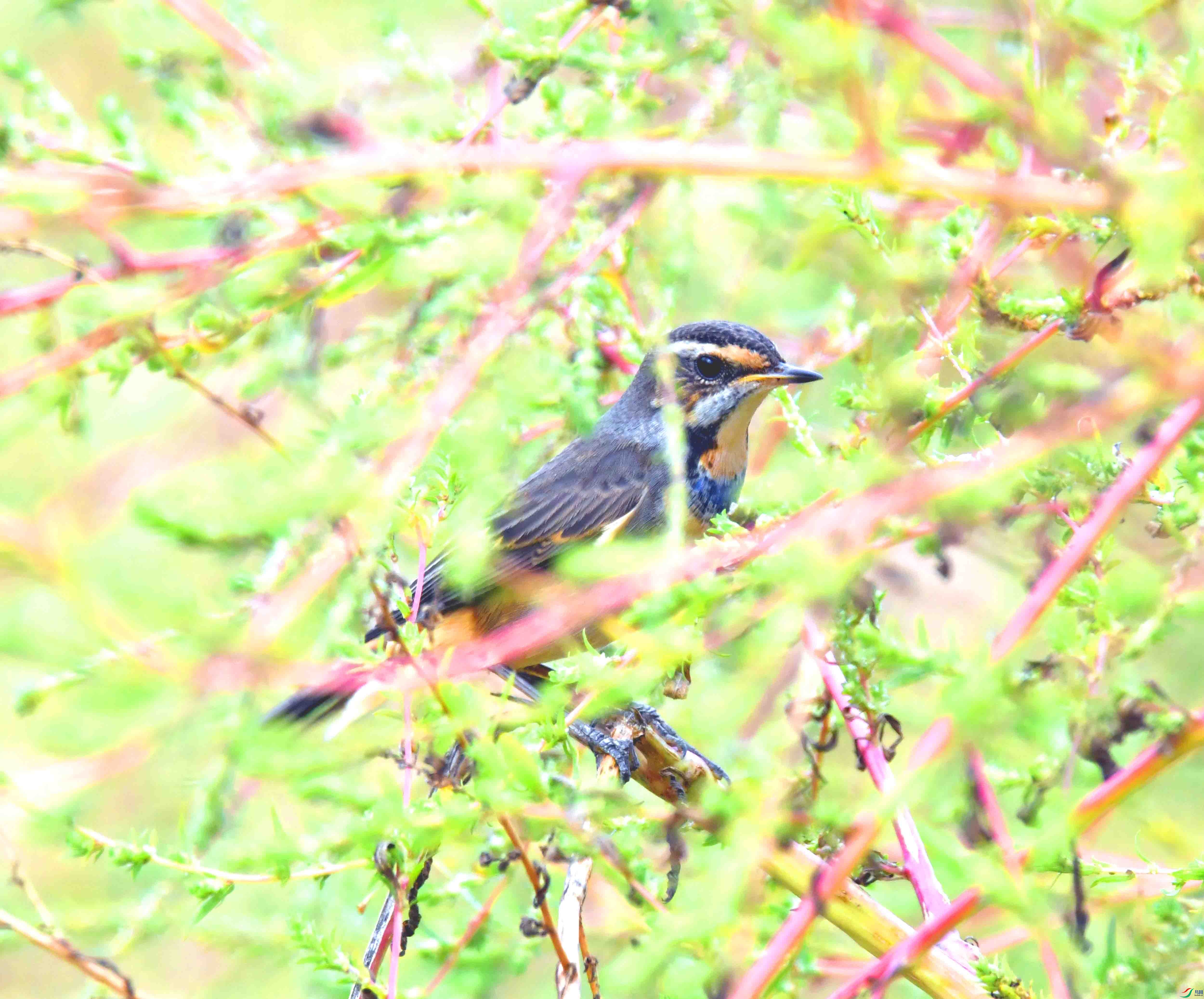 DSC_2140.JPG