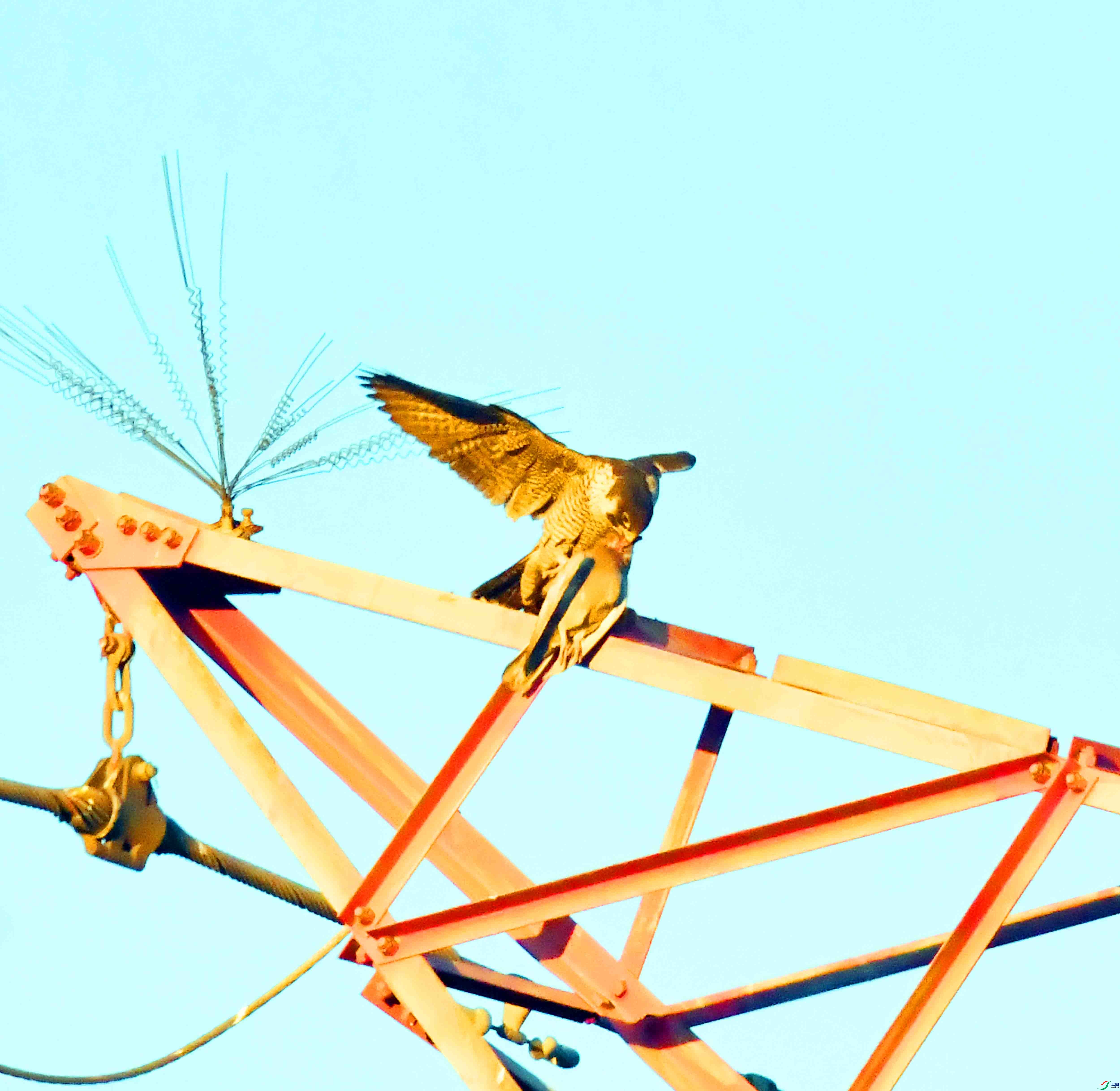 DSC_1057.JPG