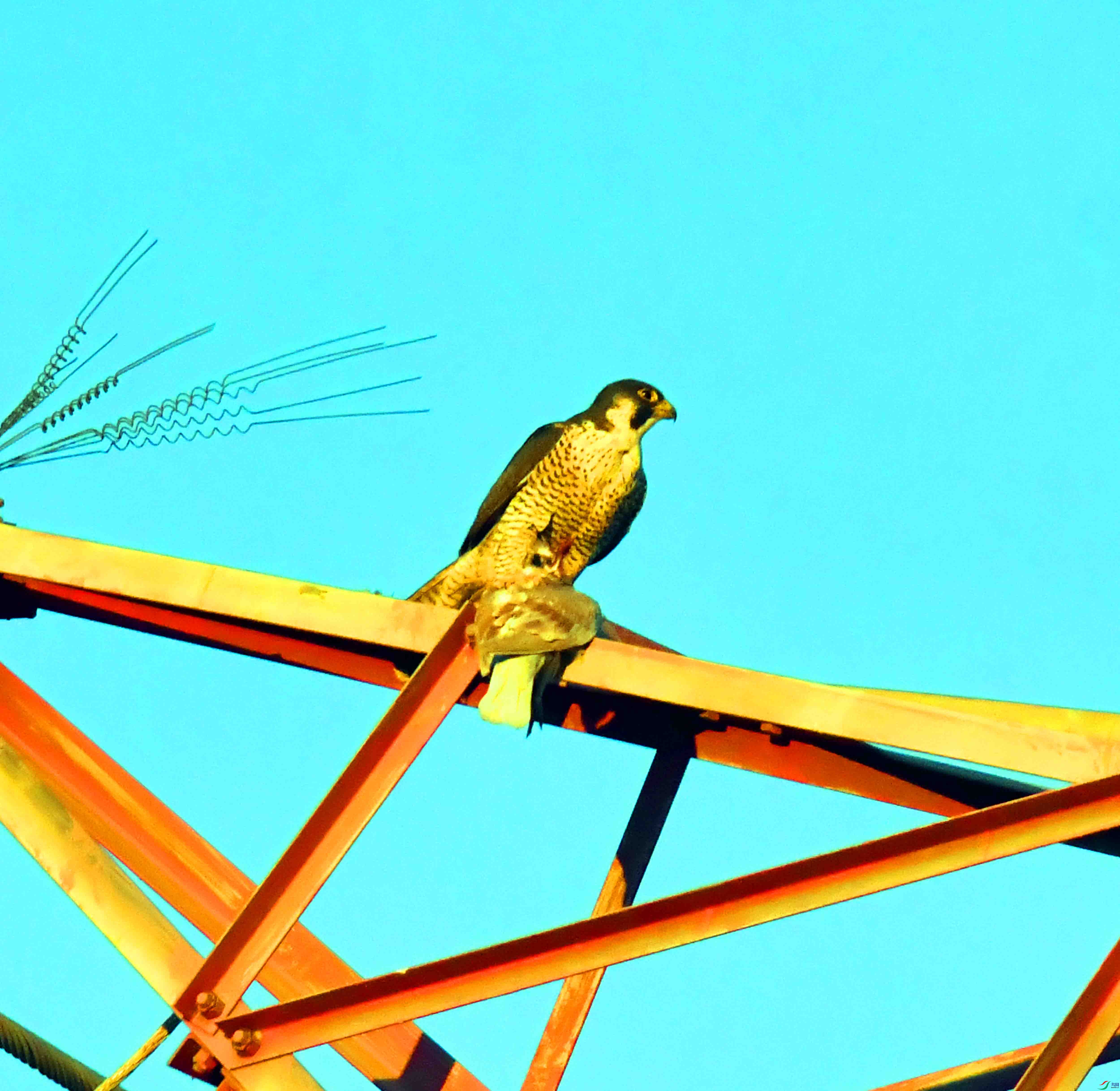 DSC_1092.JPG