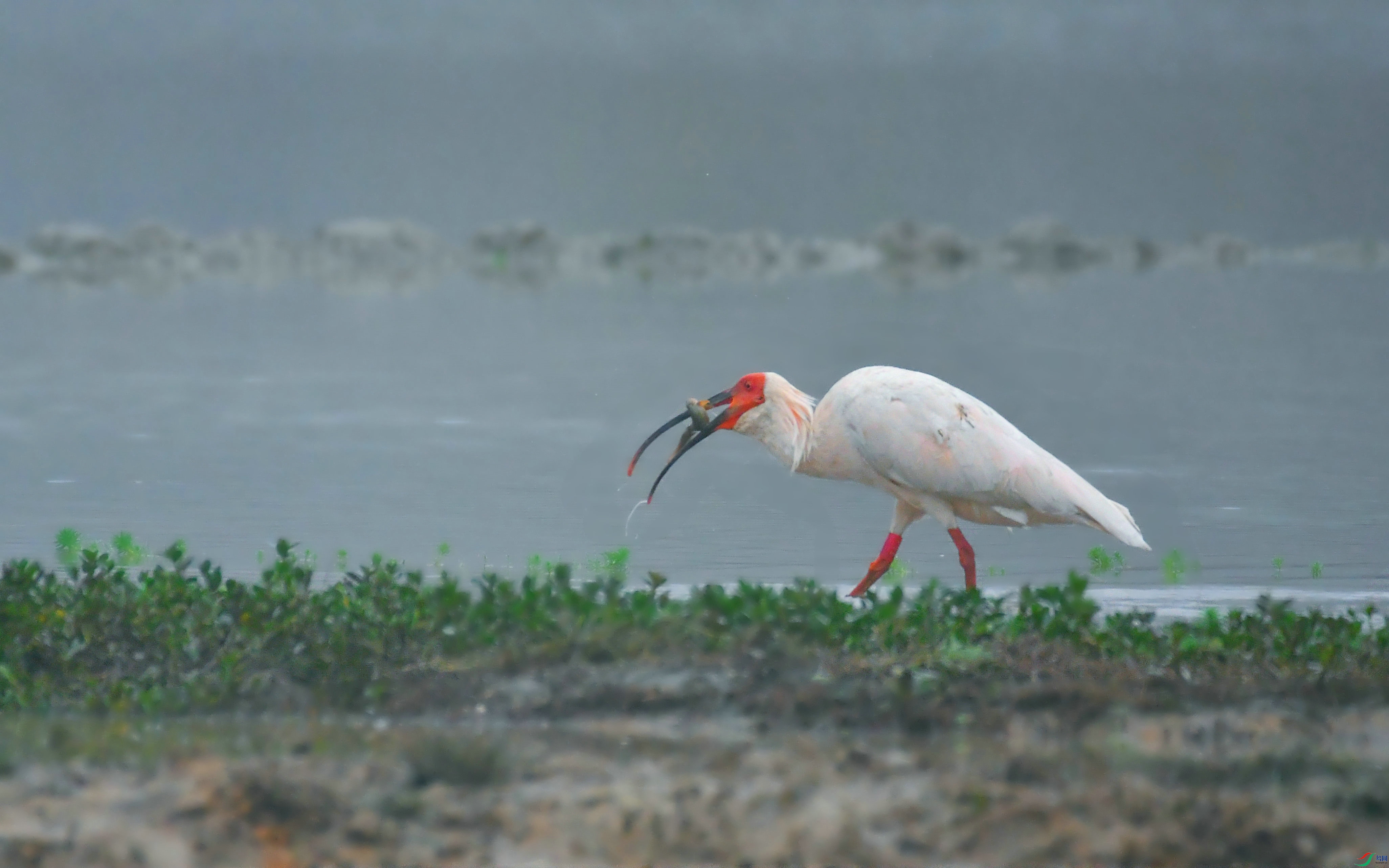 DSC_1494.JPG