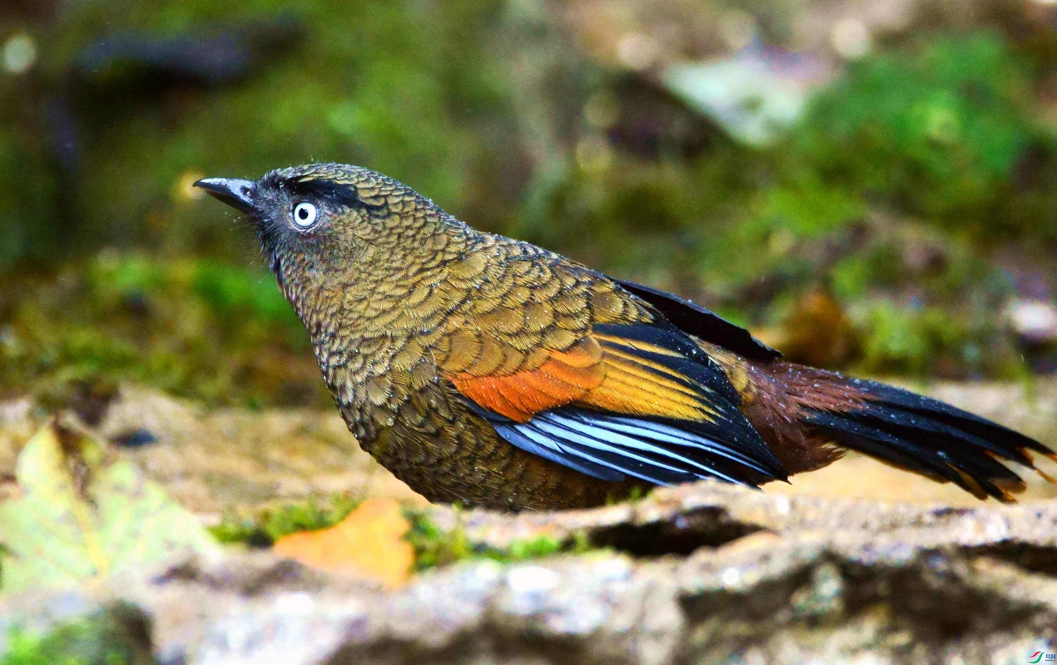 DSC_3807.JPG