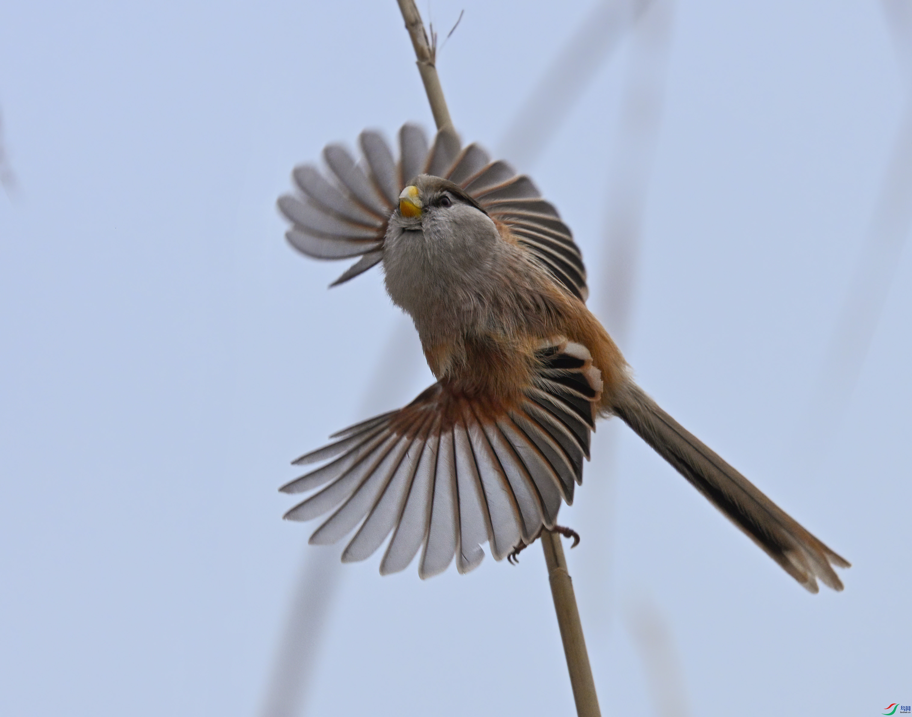 DSC_6368.JPG