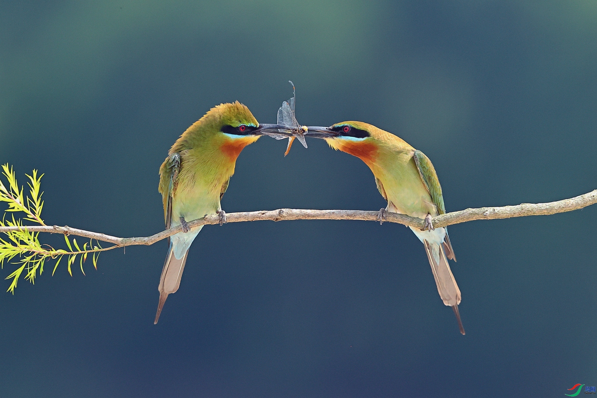 ���� ���� ��Ұ�Ÿ� ����.jpg