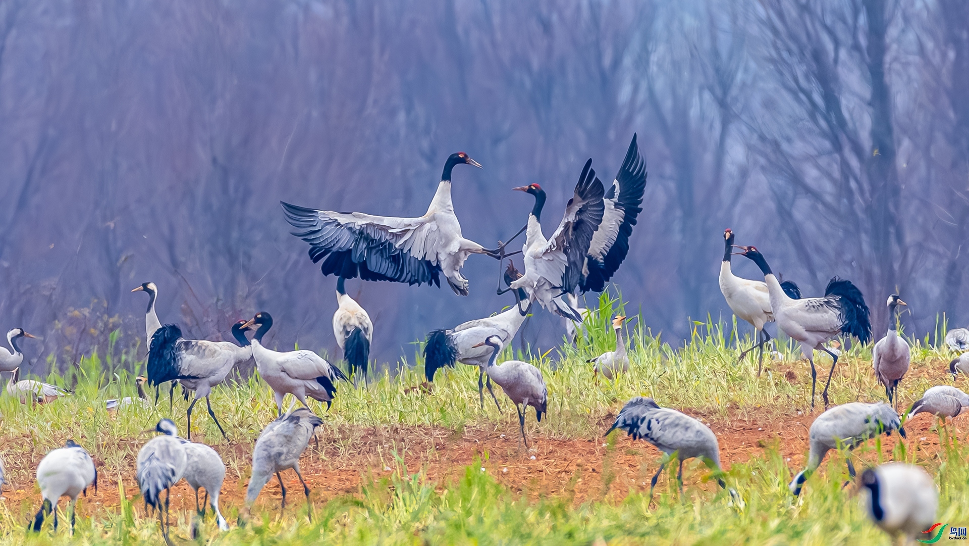 ���� ���� ɳ���Խ� ����.jpg