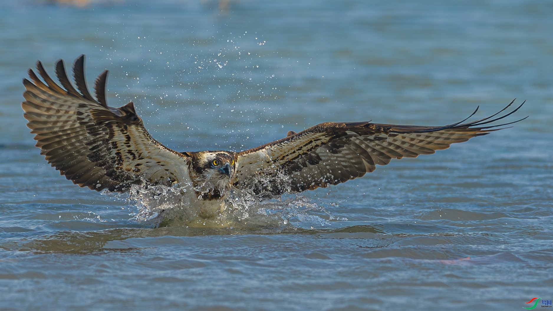 ��ʳ  ���� �䱾���� ����.jpg