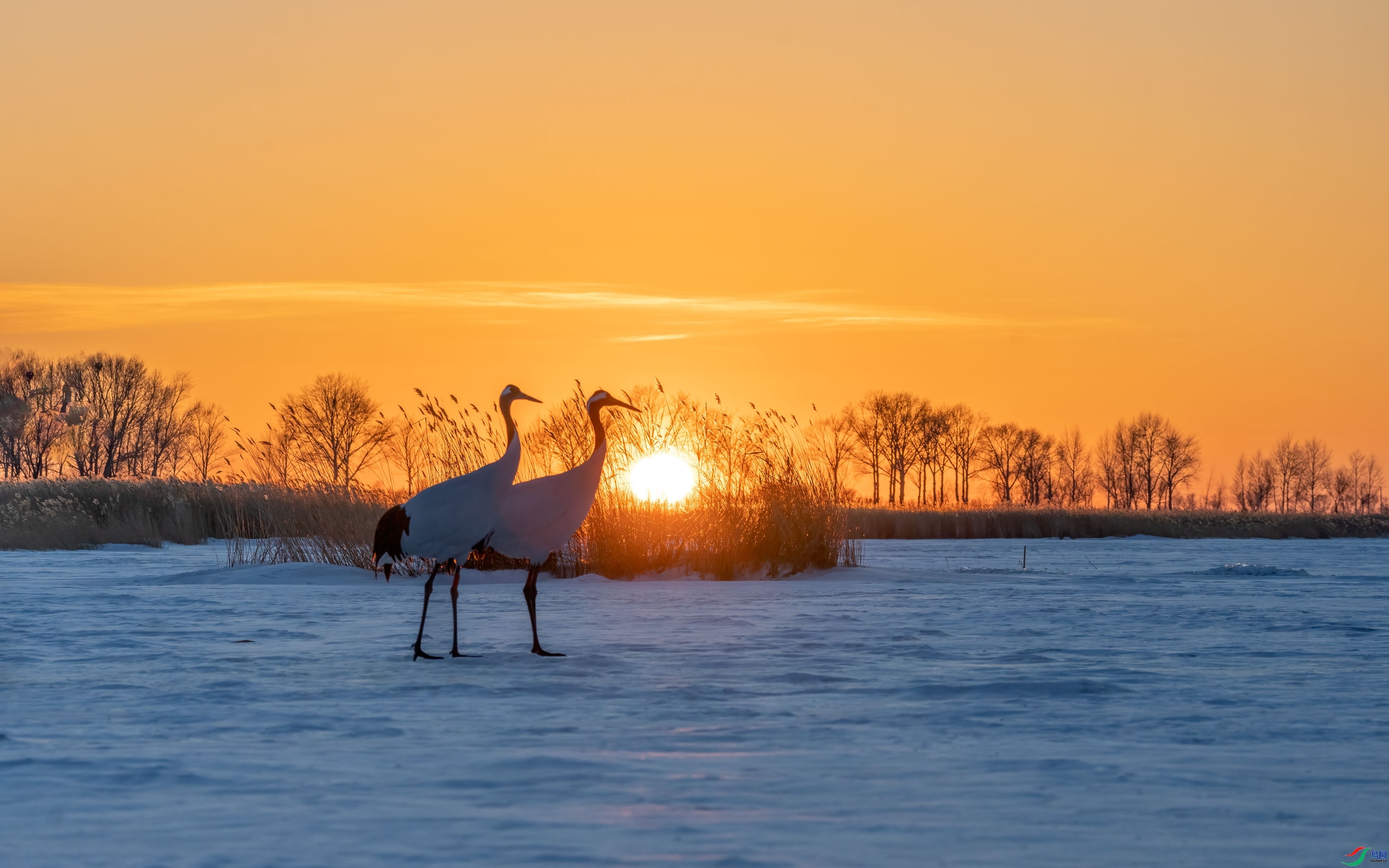 Ϧ���� ���� ���� ����.jpg