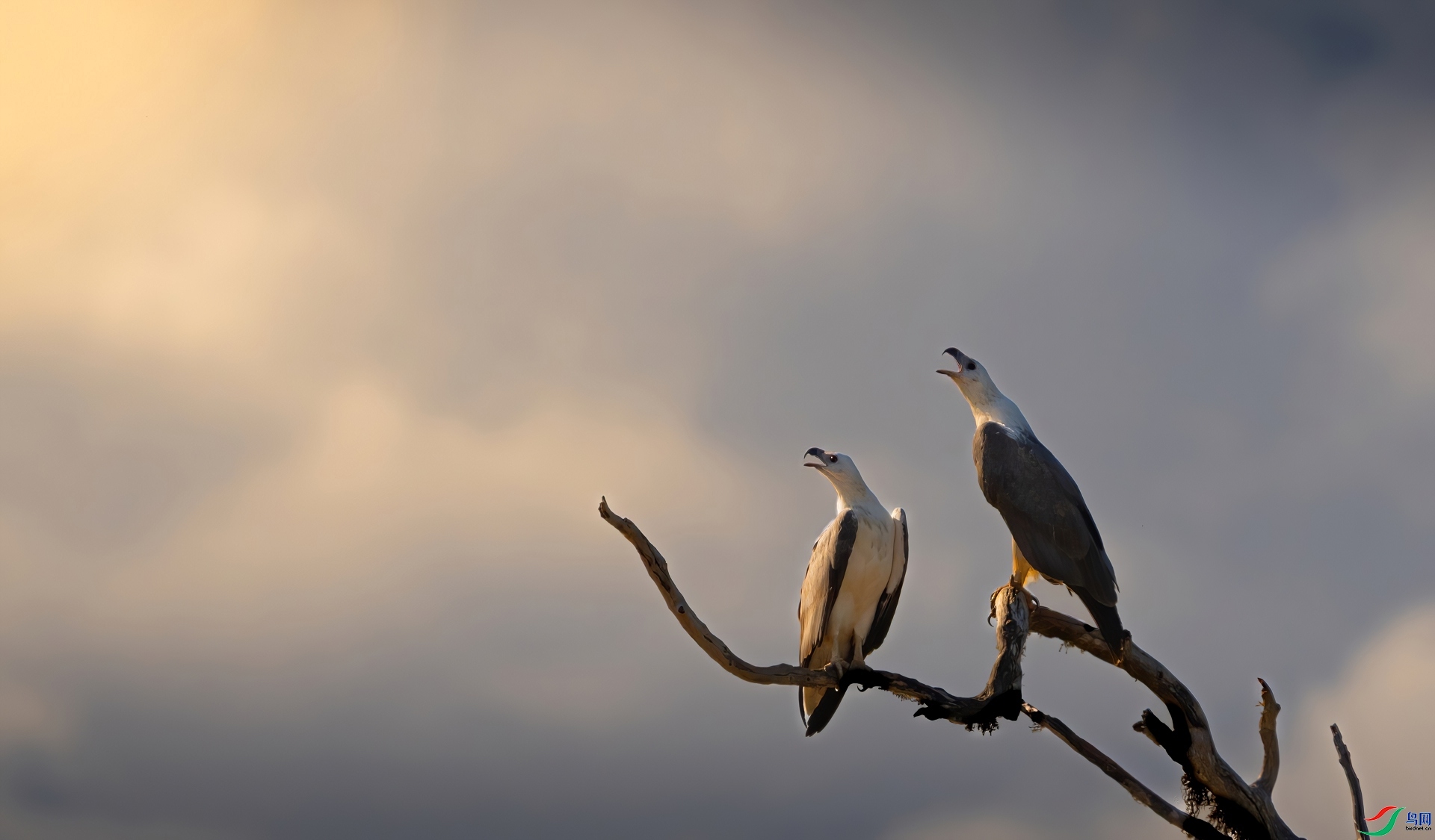 ���Ʒɶ�  ���� ³�Ĵ� ����.jpg